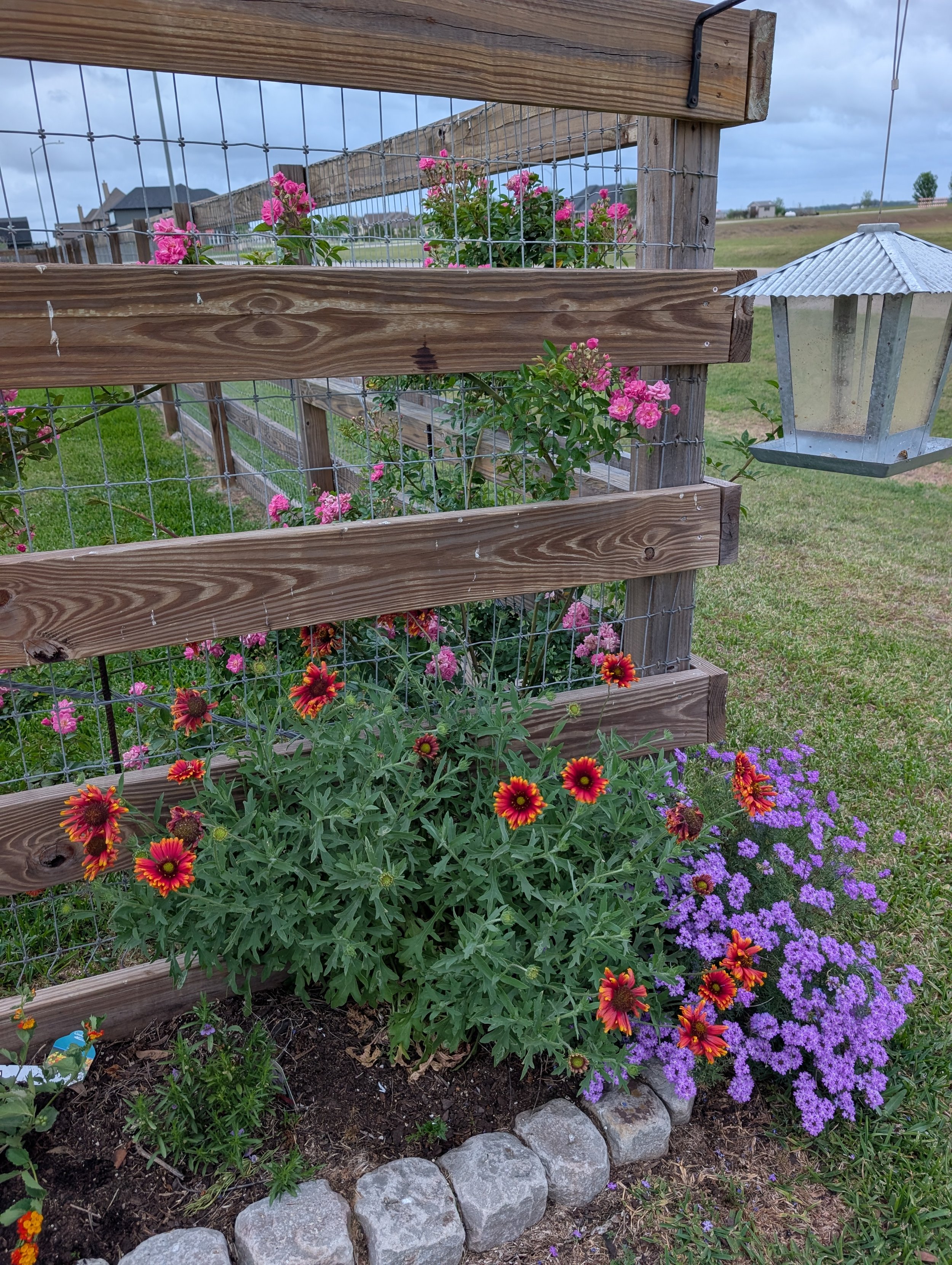 alittledirtcanthurt-garden-wildflowers.jpg