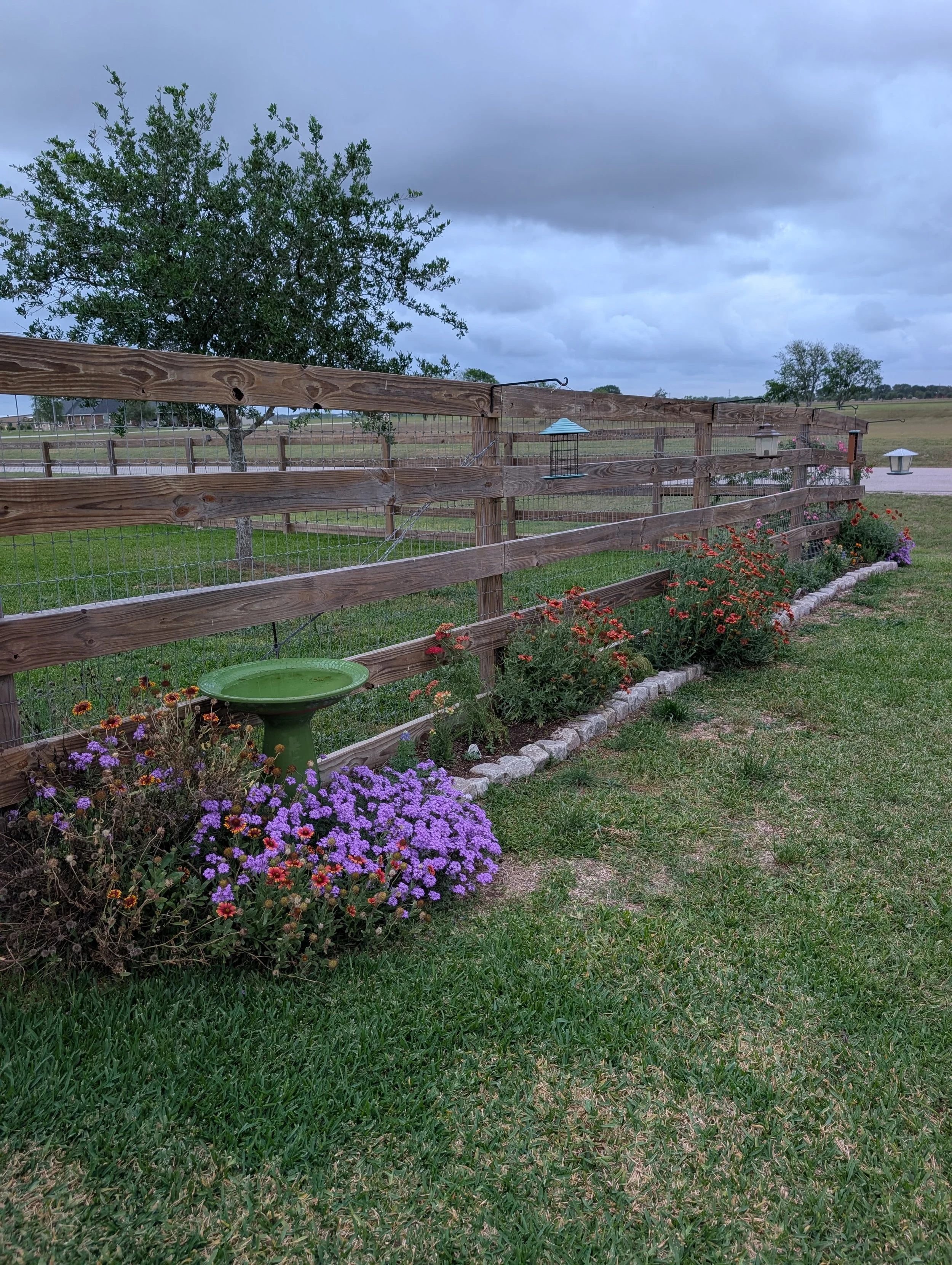 April - Welcome to the Wild