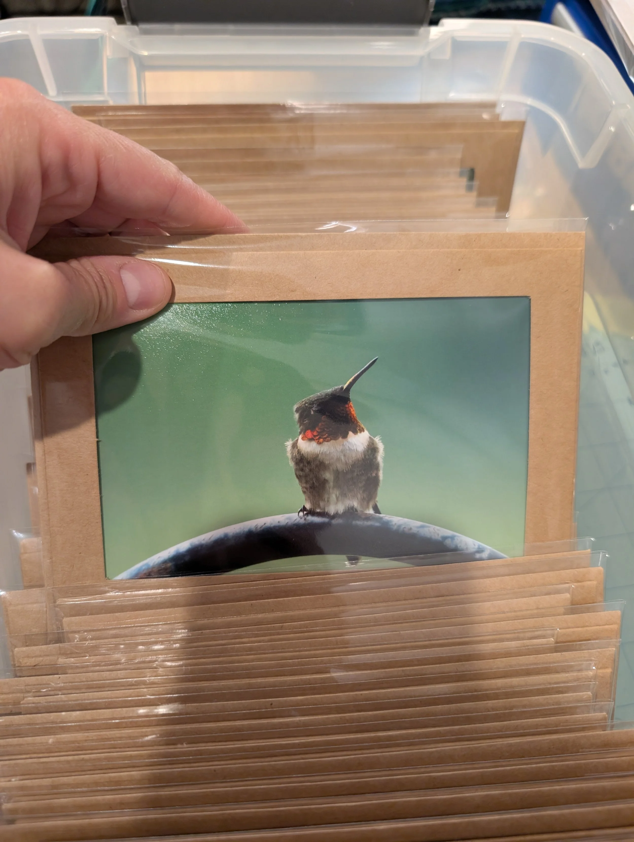 alittledirtcanthurt-garden-coaching-hummingbird-photo.jpg