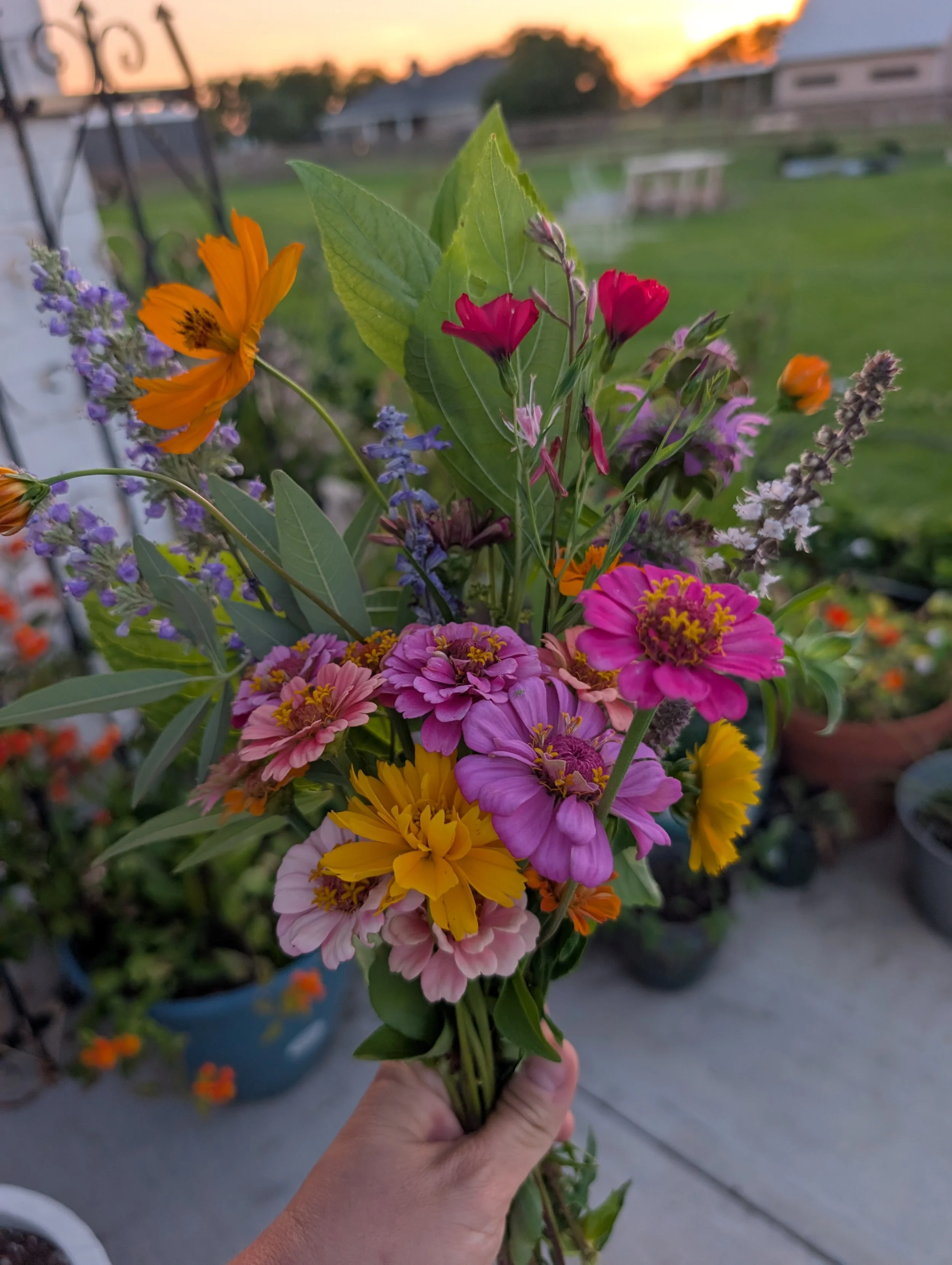 Bouquet of flowers - Copy.jpg