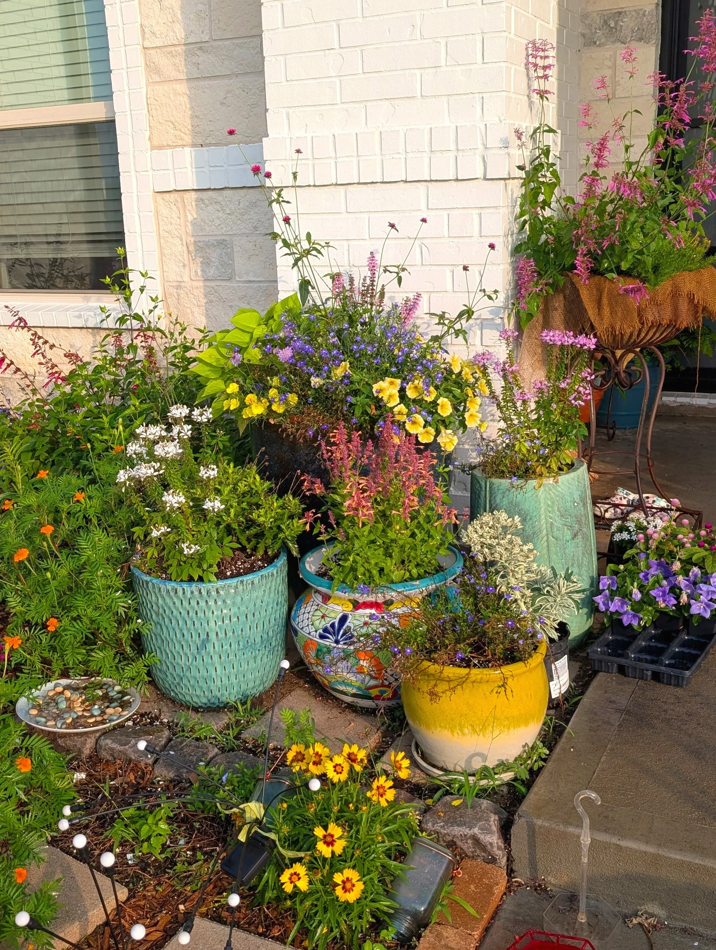 Big pots of native, pollinator flowers on the front porch of A Little Dirt Can't Hurt in Needville, TX