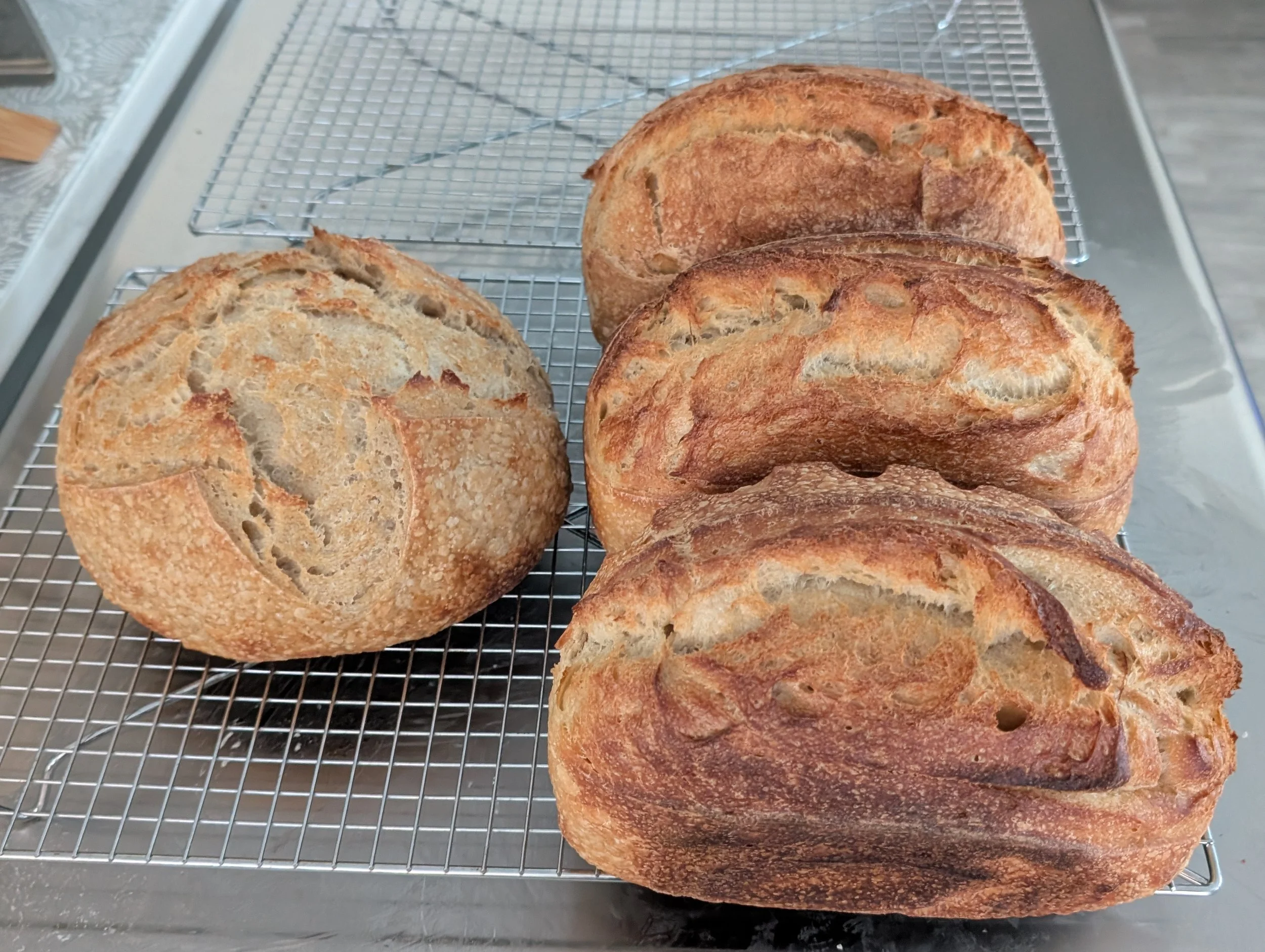 four loaves of sourdough bread on a wire rack. Baked by Nicole of A Little Dirt Can't Hurt