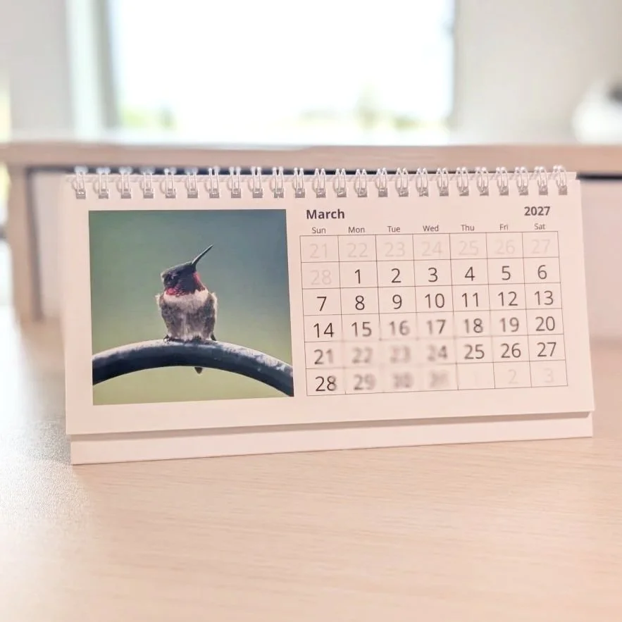 2027deskCalMarchOpt.jpg