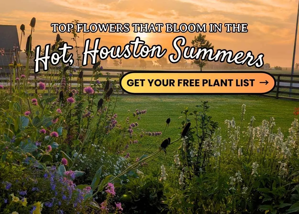 Garden flowers with sunset. Words that say Top Flowers that boom in the Hot, Houston Summers. Get Your free plant list