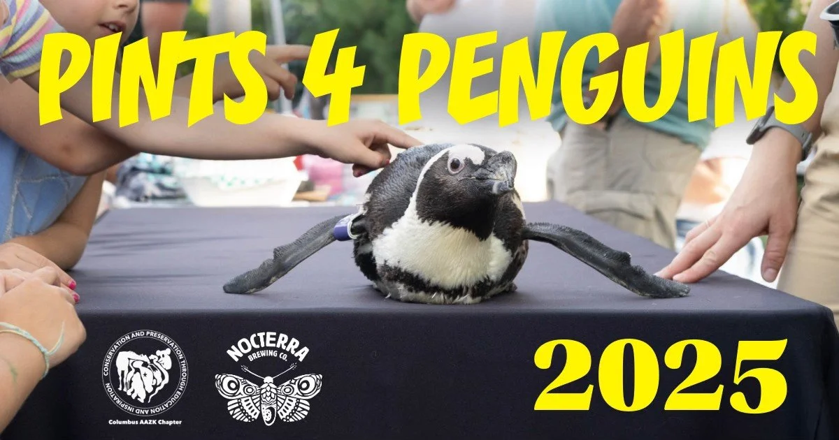 Pints 4 Penguins 2025