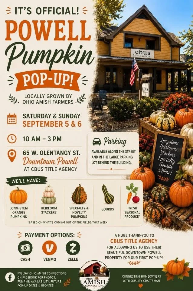 Powell Pumpkin Pop-Up