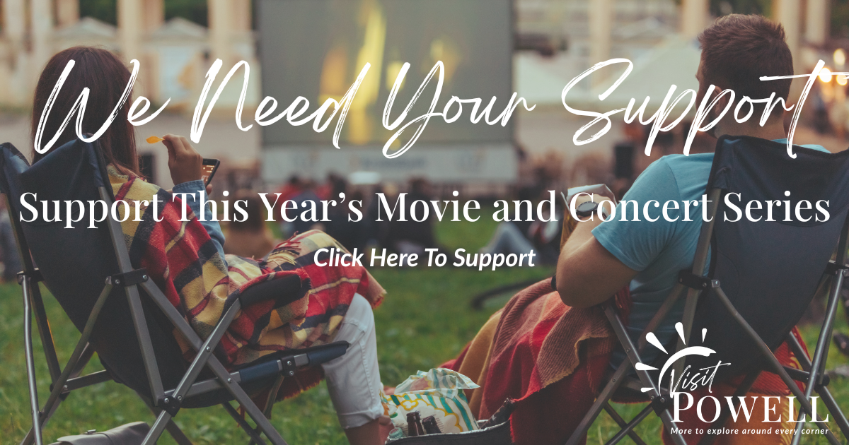 We need your support.  Click here to support this years movie and concert series