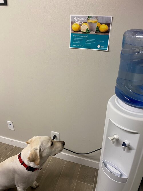 Creative Window Designs_Corporate Wellness Program_Hydrate for Health_2.jpeg