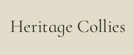 Heritage Collies