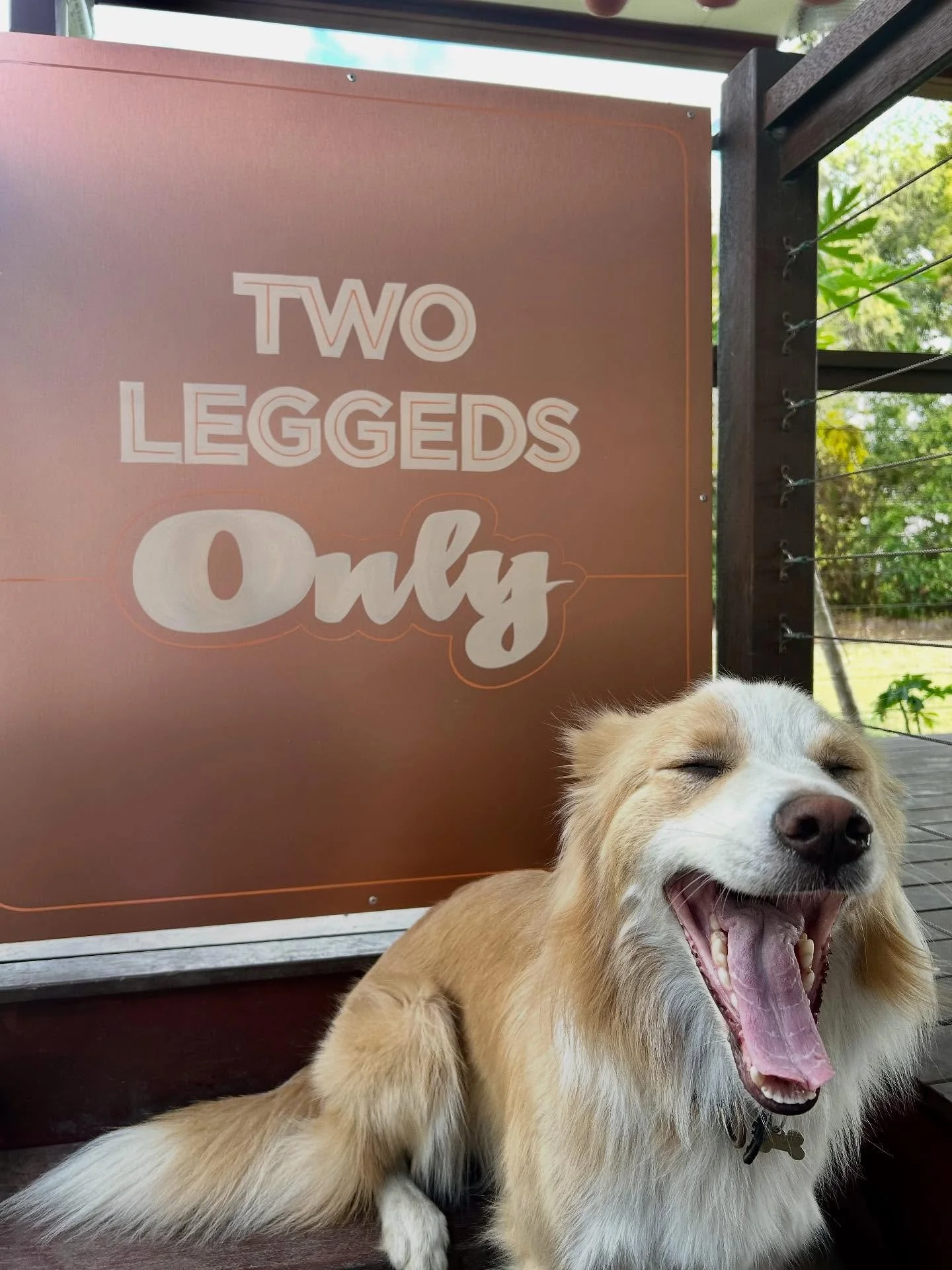 Steven having a cry about the new gate! 🥹 #alwayshandpaint #handcrafted #handpainted #handpaintedsigns #signpainting #signwriting #custompaint #brushlettering #script #scriptlettering #logo #handdrawnlogo #handlettering #lettering #handdrawntype #ty