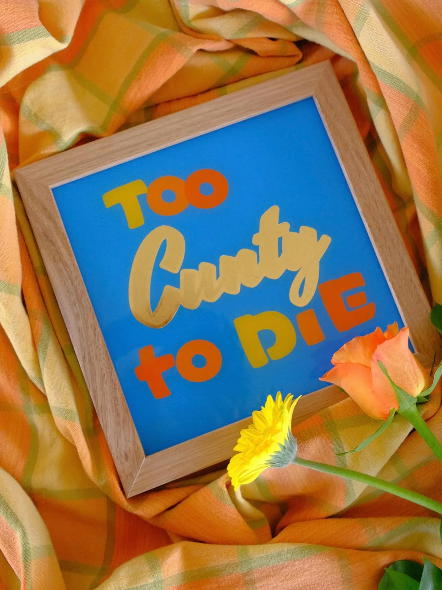 Bullsh!t C👻NT 
#australianpainter #alwayshandpaint #handcrafted #handpainted #handpaintedsigns #signpainting #signwriting #custompaint #brushlettering #script #scriptlettering #logo #handdrawnlogo #handlettering #lettering #handdrawntype #typography