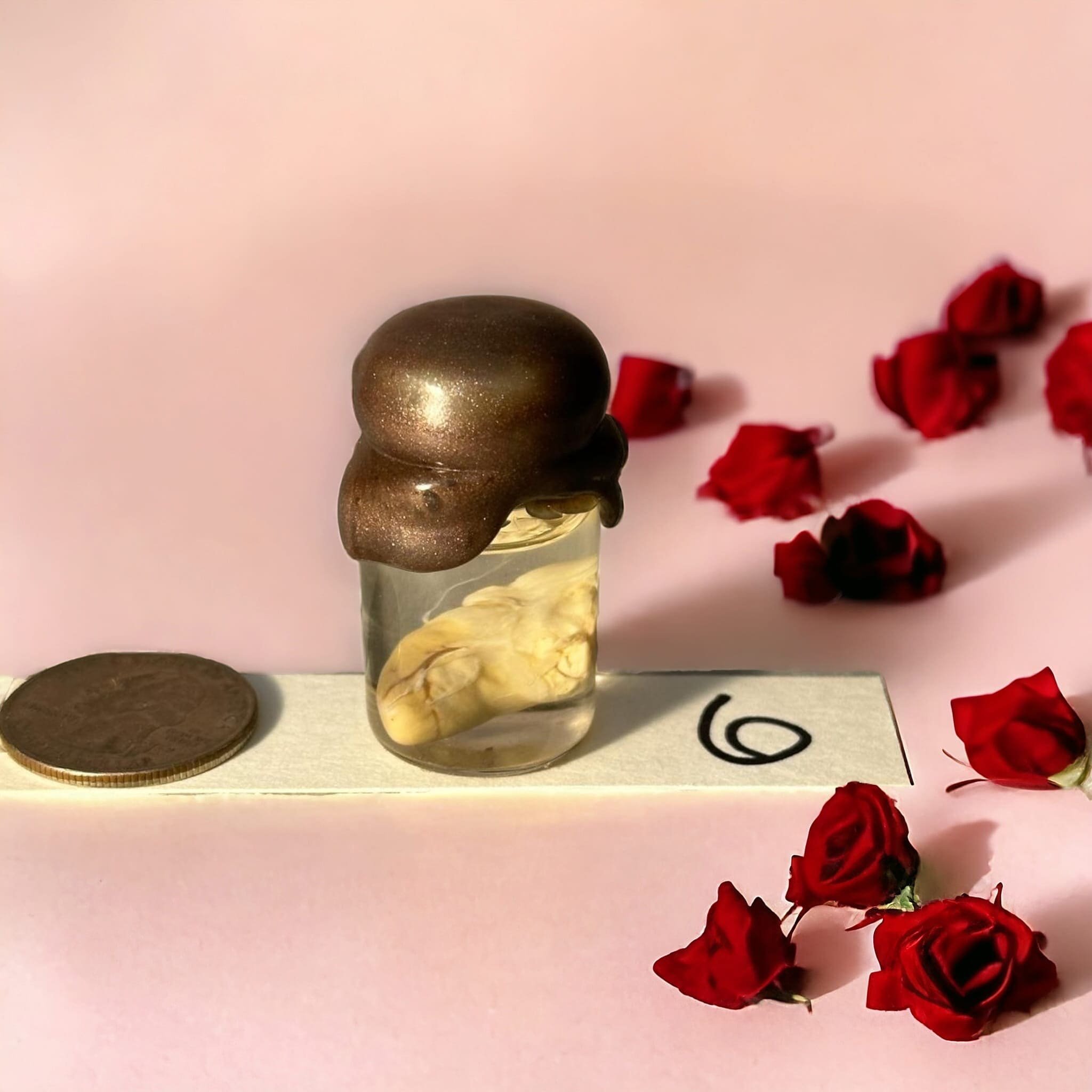 https://i.etsystatic.com/31776765/r/il/ea8a16/5743532932/il_fullxfull.5743532932_4w0w.jpg
