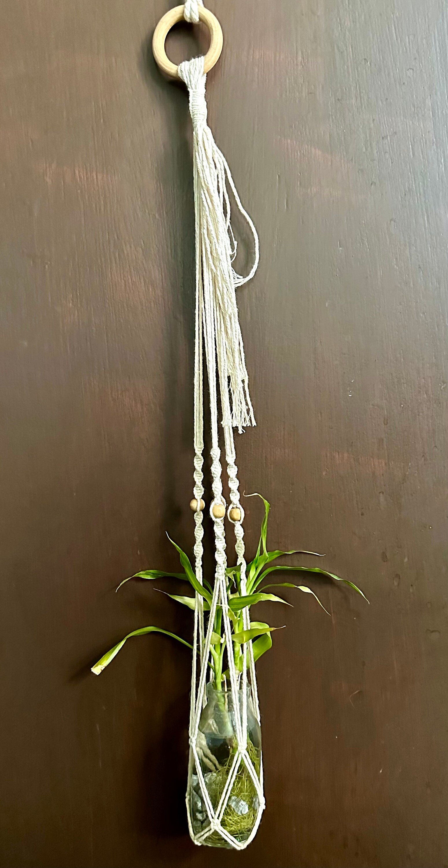 https://i.etsystatic.com/31776765/r/il/3f42b9/5969229298/il_fullxfull.5969229298_q1cq.jpg