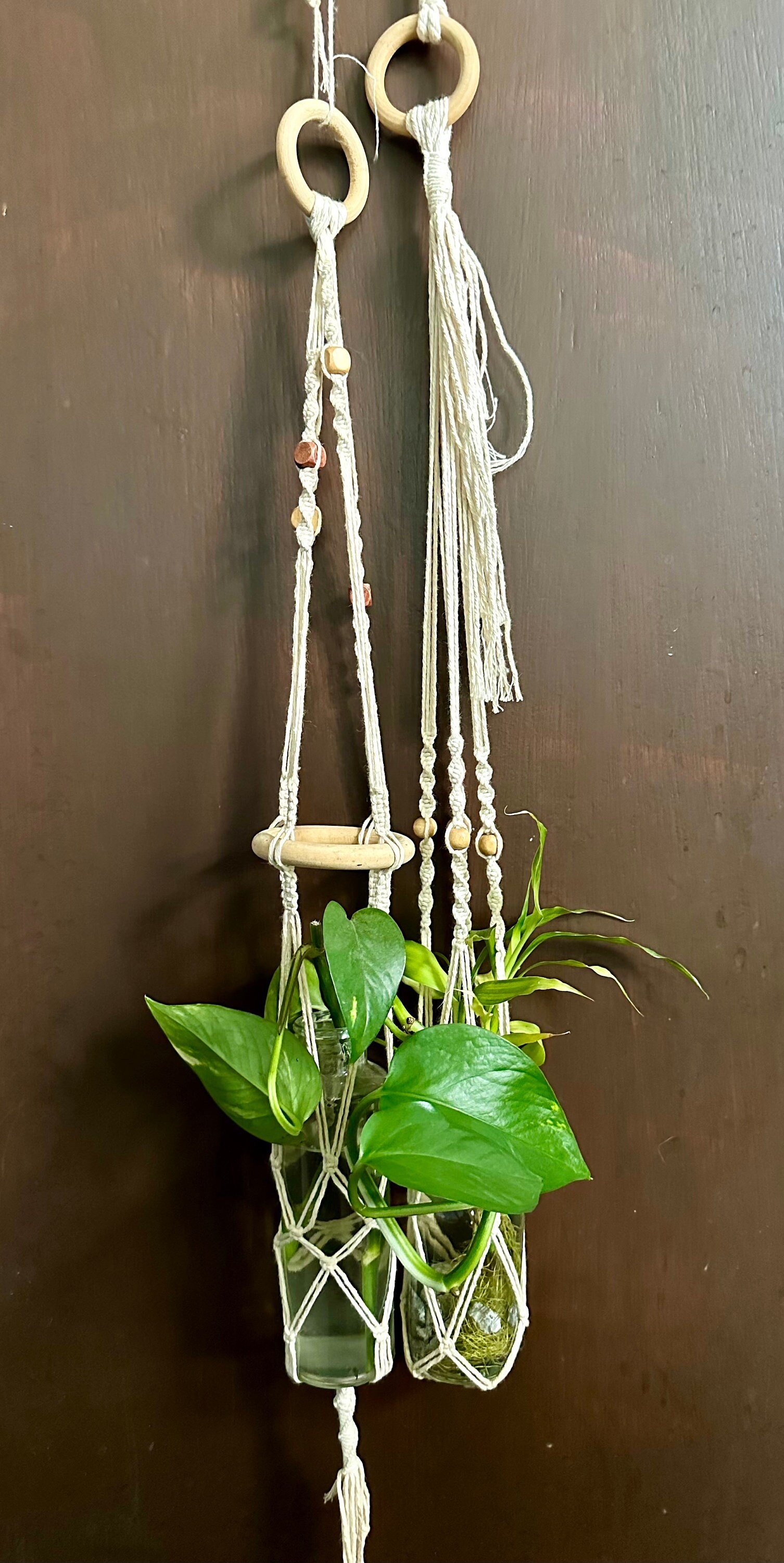 https://i.etsystatic.com/31776765/r/il/4745c0/6017310053/il_fullxfull.6017310053_awpf.jpg