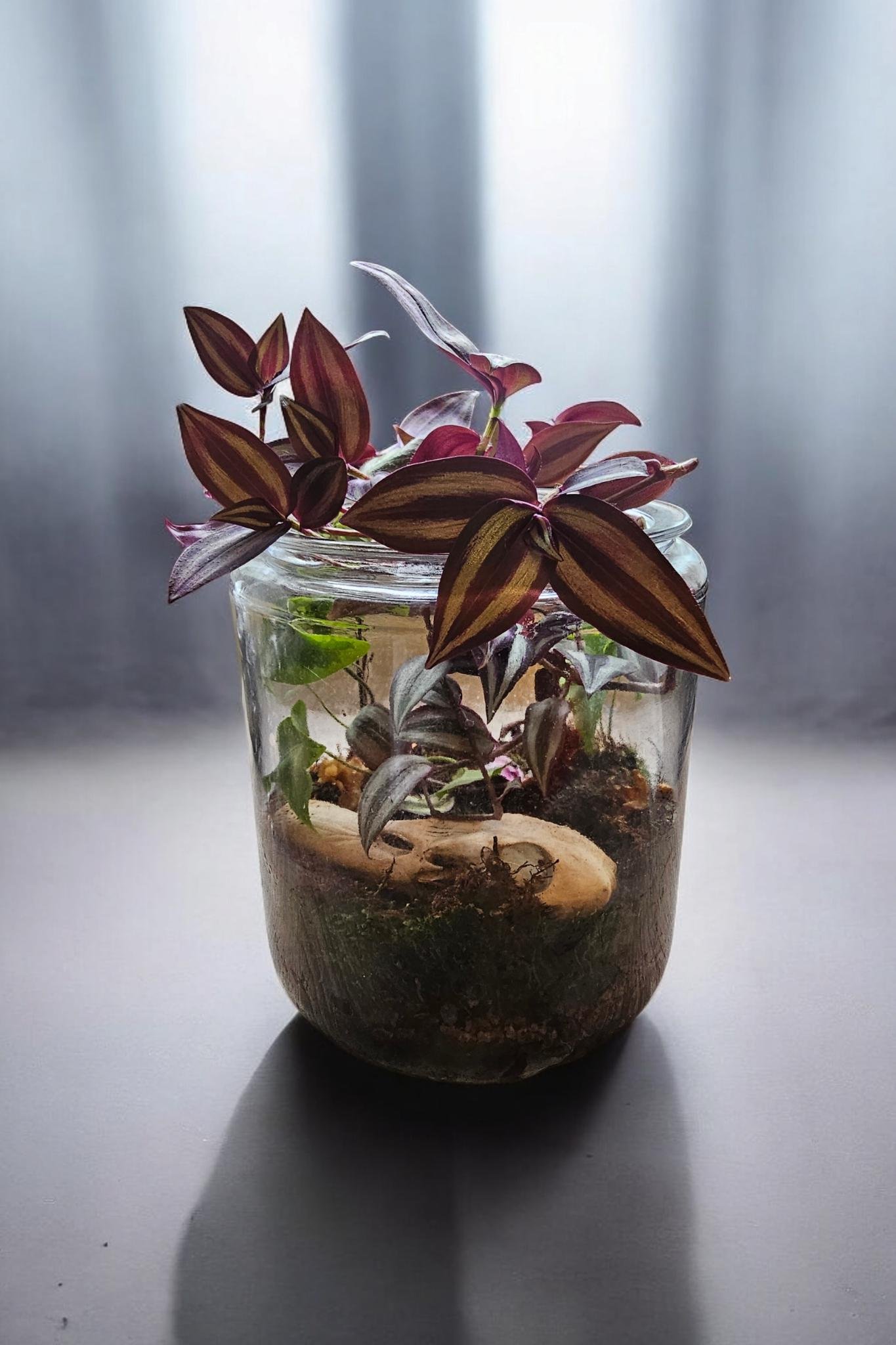 https://i.etsystatic.com/31776765/r/il/4f09b3/6300653647/il_fullxfull.6300653647_da6k.jpg