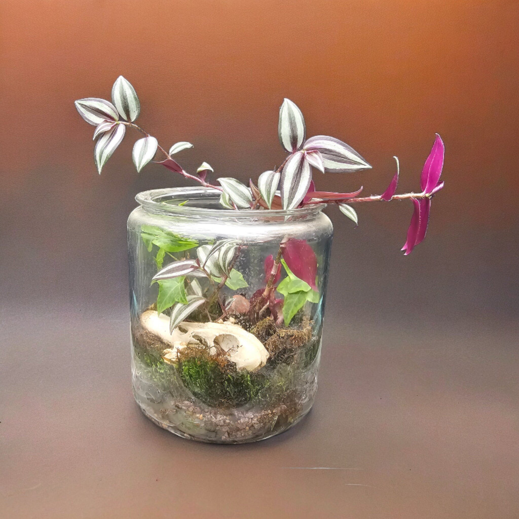 https://i.etsystatic.com/31776765/r/il/0083fe/6051445236/il_fullxfull.6051445236_jc9e.jpg