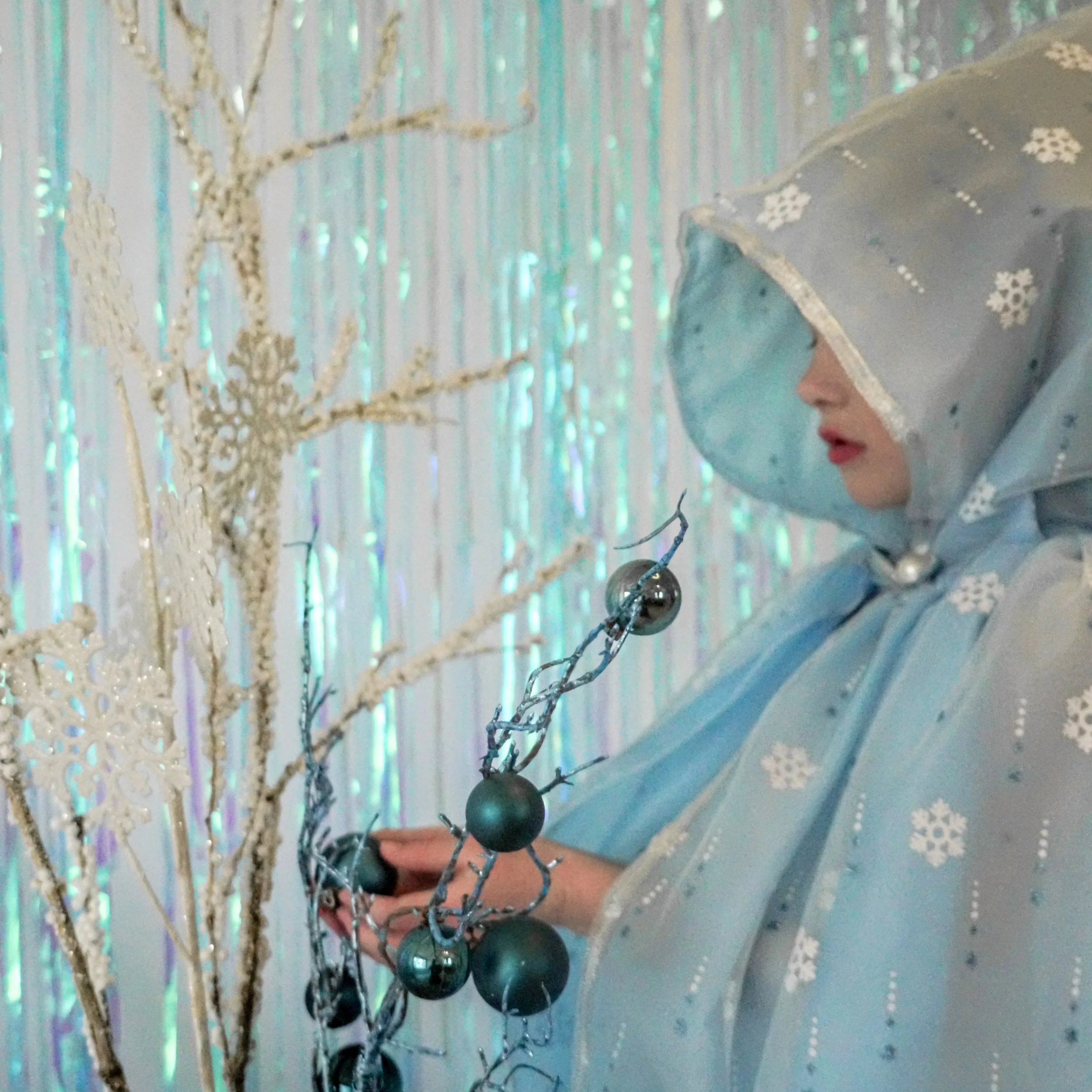 Ice Queen Cape 15.jpeg