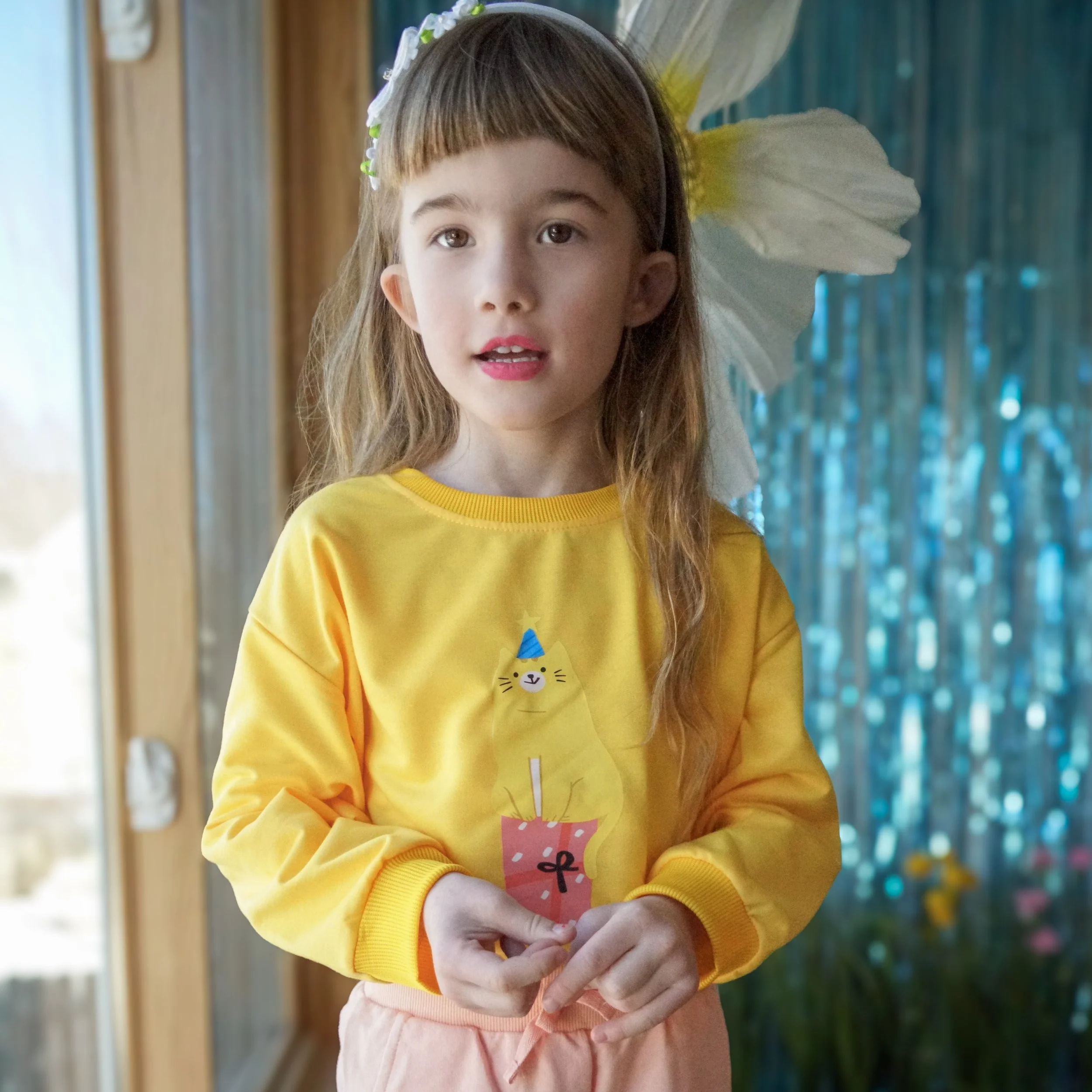 Party Paws Cat Sweatshirt 2.jpeg