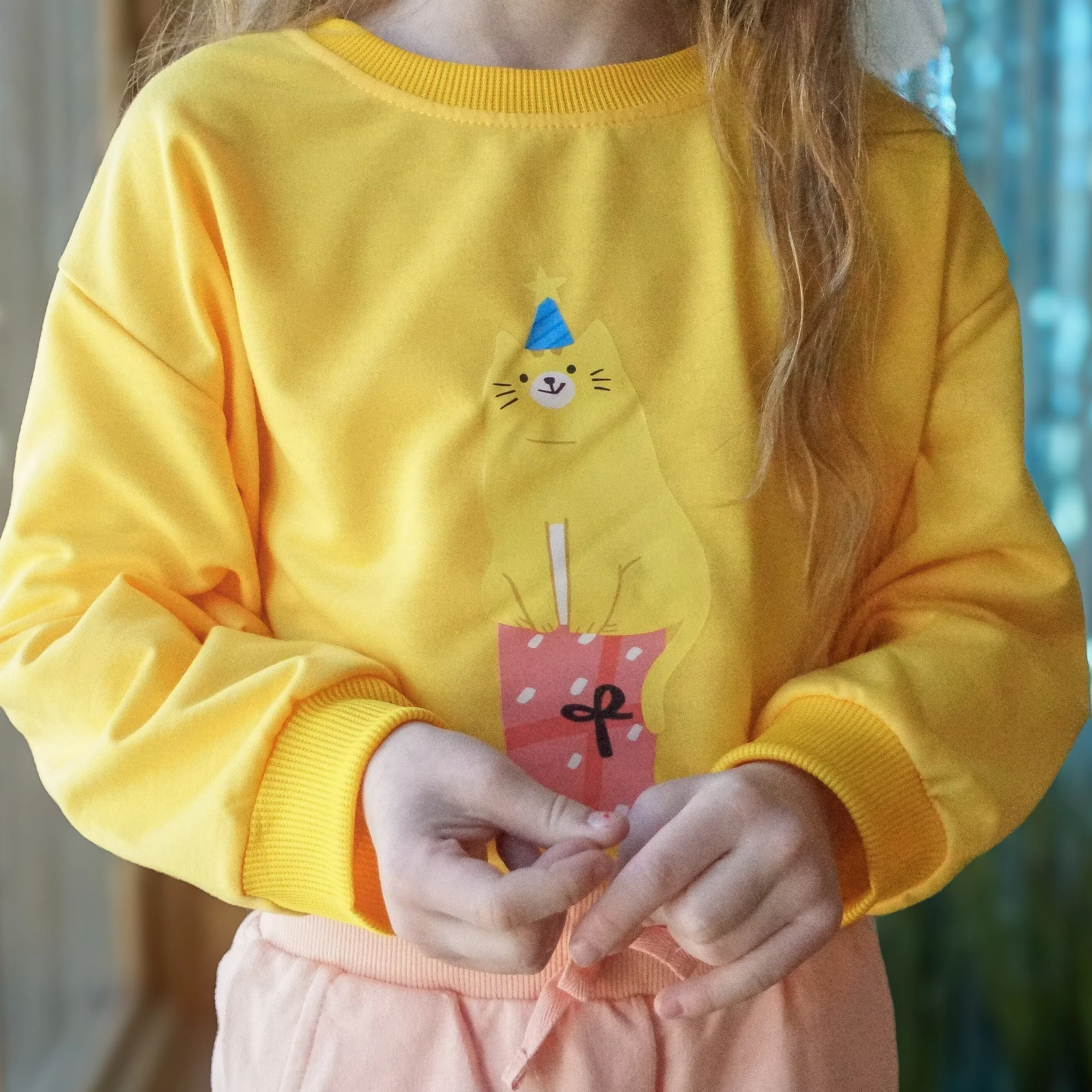 Party Paws Cat Sweatshirt 3.jpeg