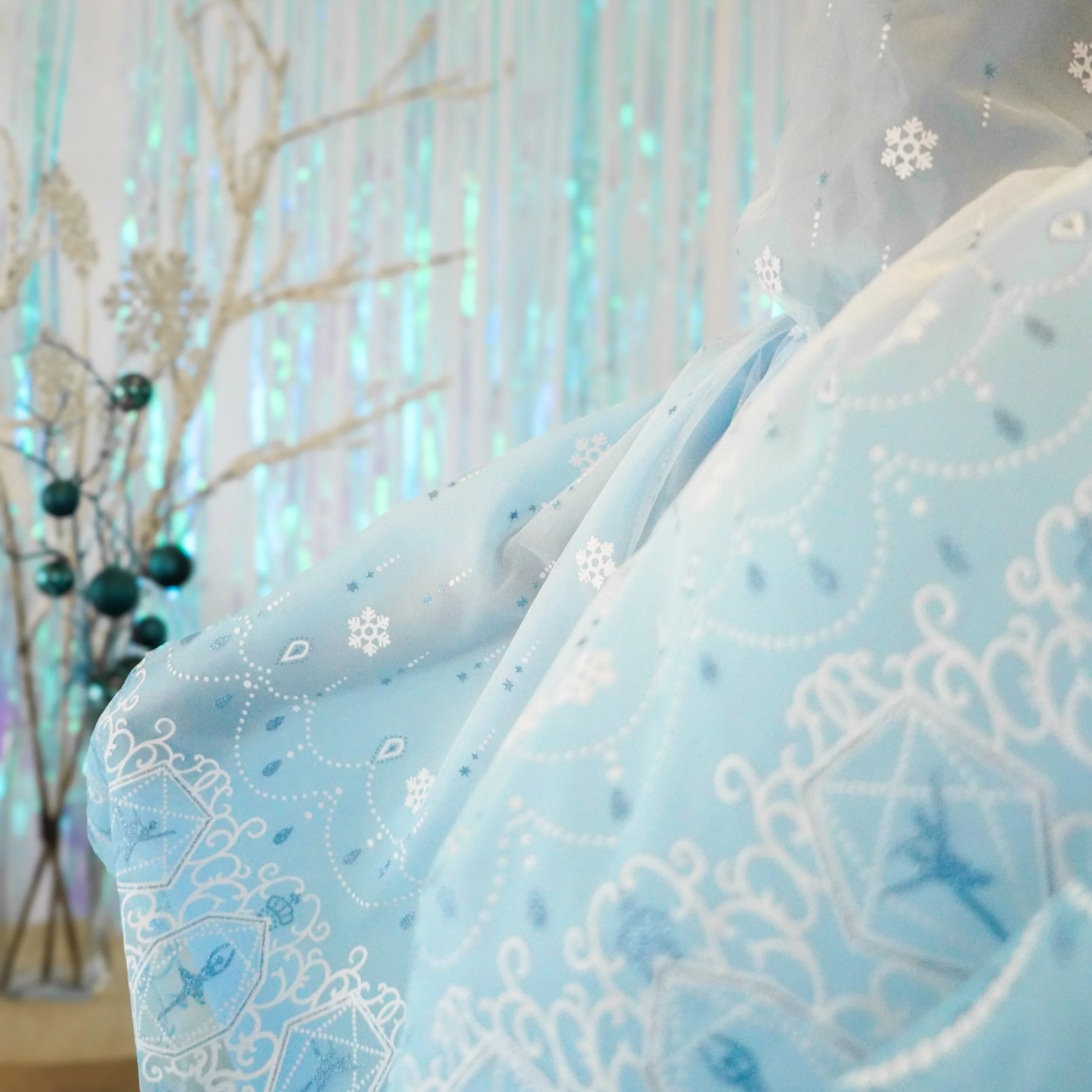 Ice Queen Cape 16.jpeg