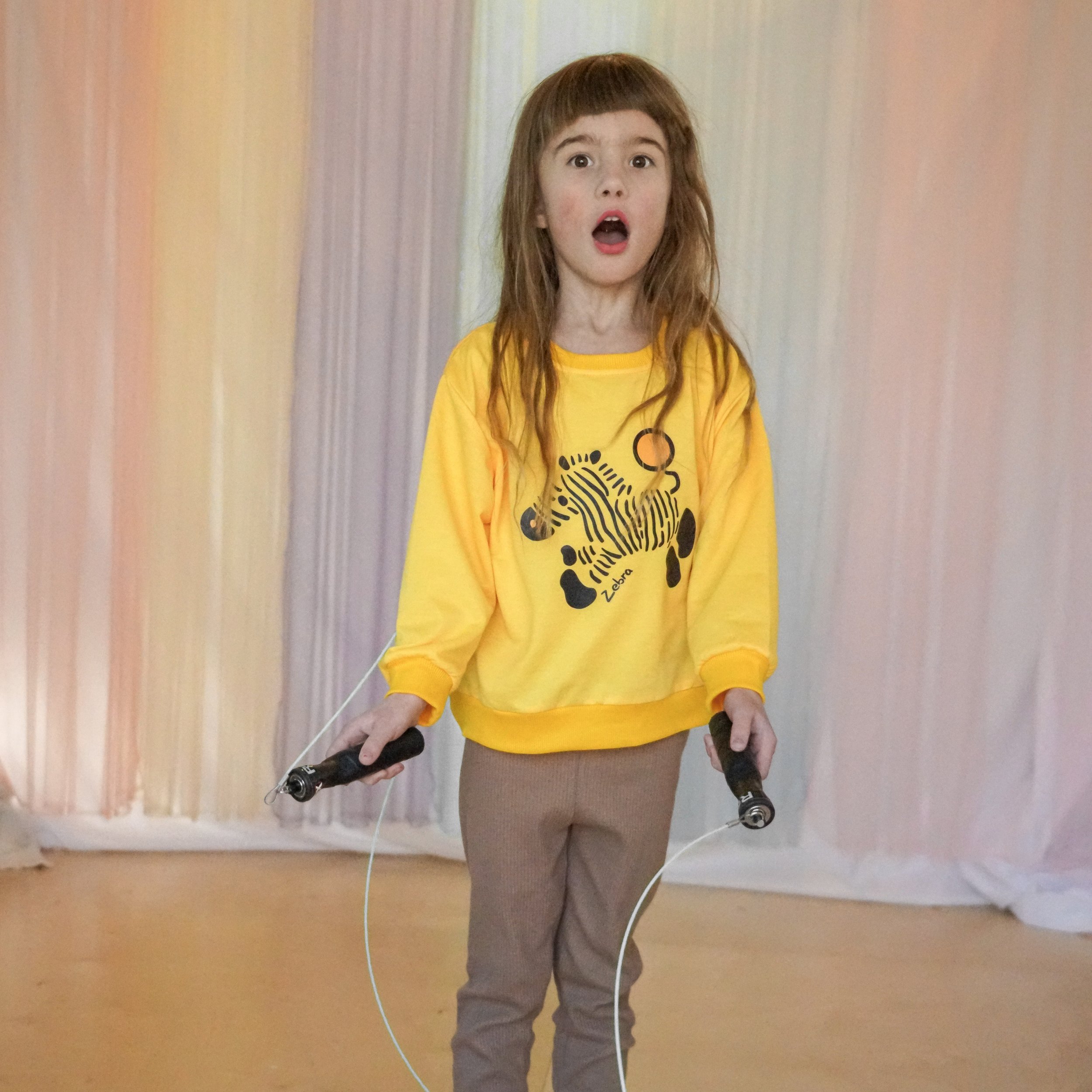 Zippy Zebra Sweatshirt 6.jpeg