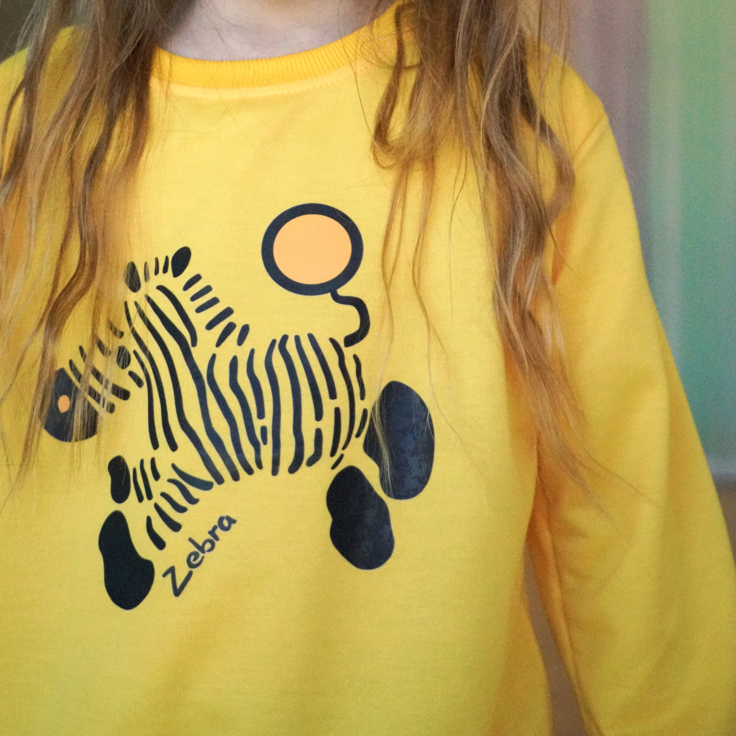 Zippy Zebra Sweatshirt 7.jpeg