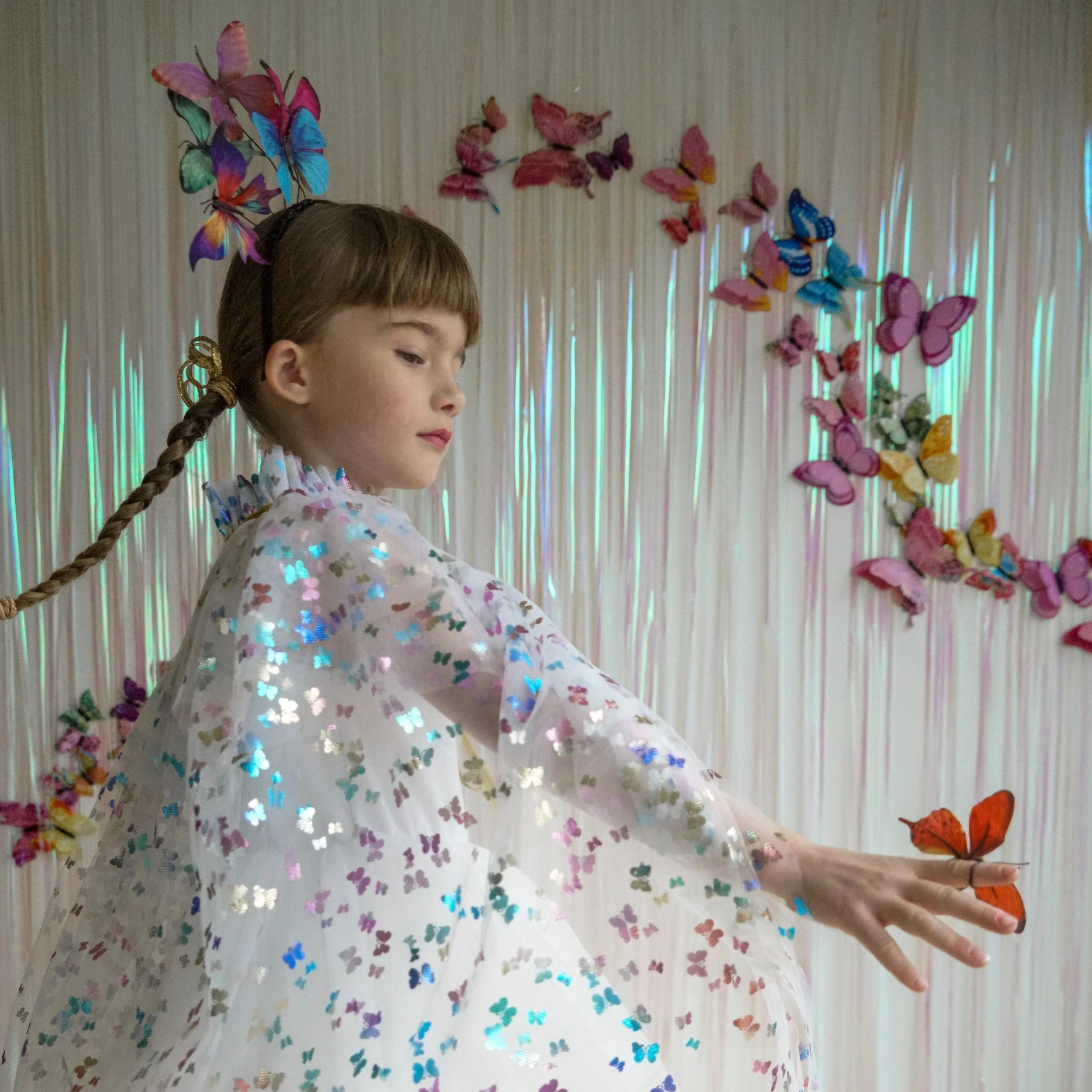 Butterfly Cape 13.jpeg