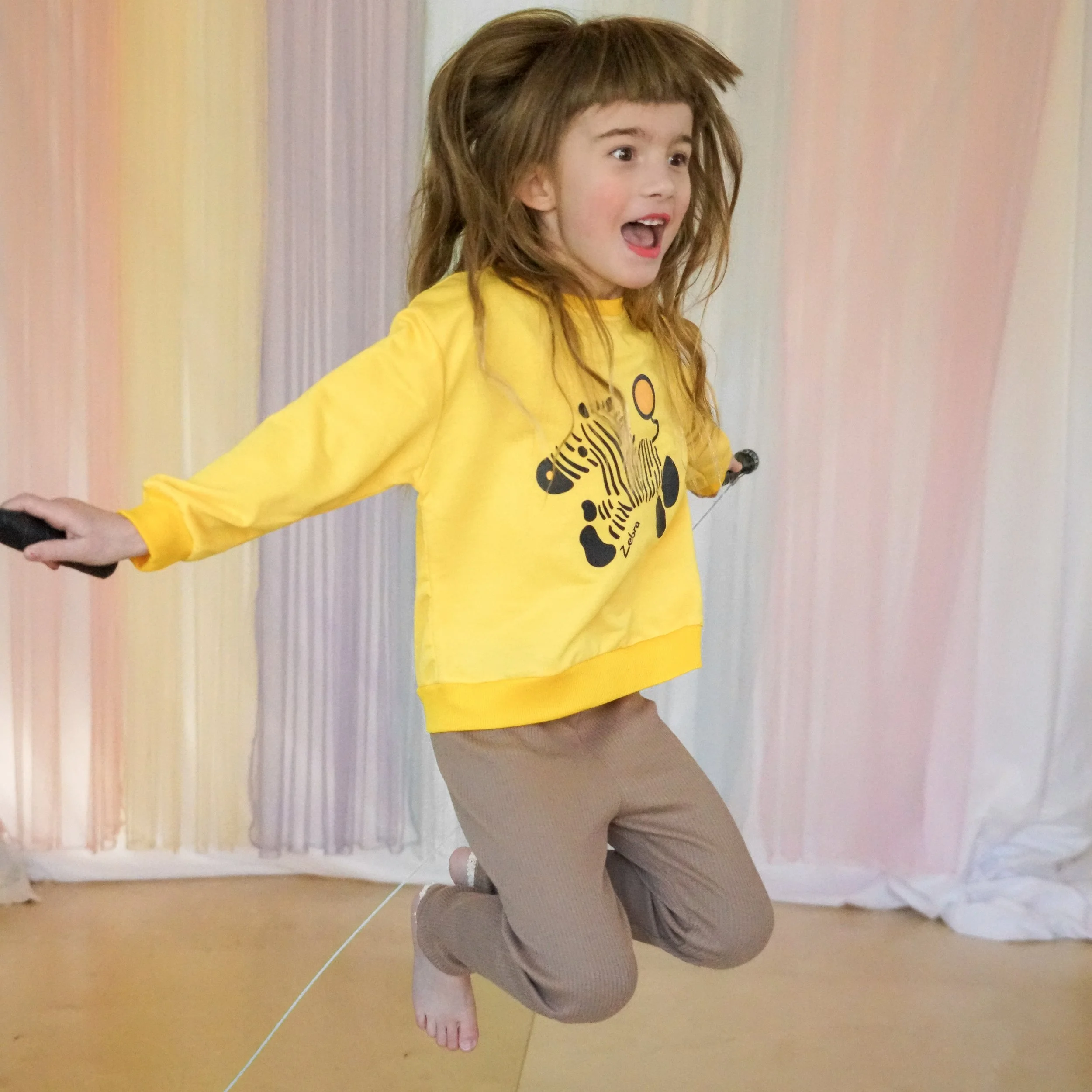 Zippy Zebra Sweatshirt 2.jpeg