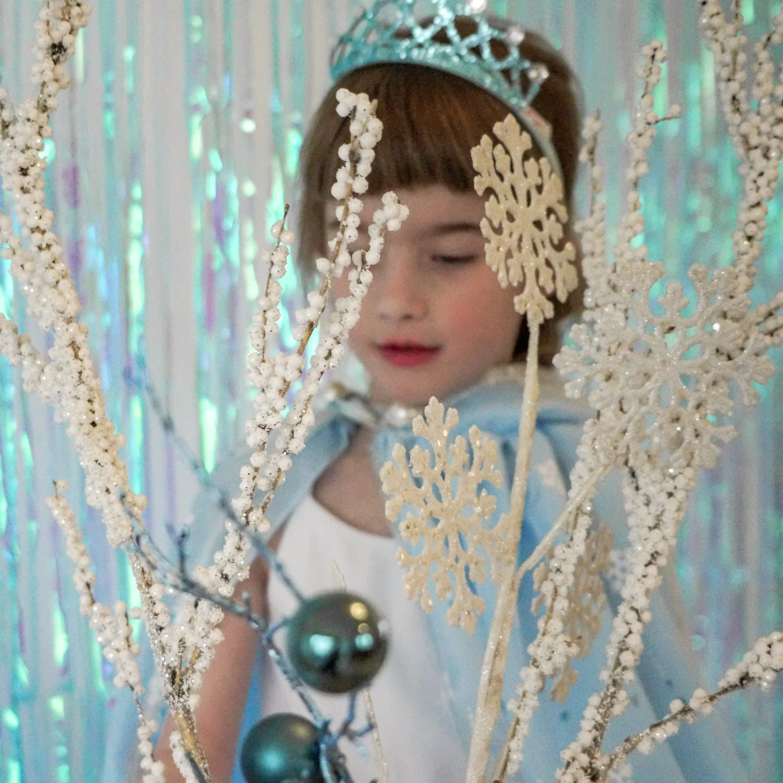 Ice Queen Cape 5.jpeg