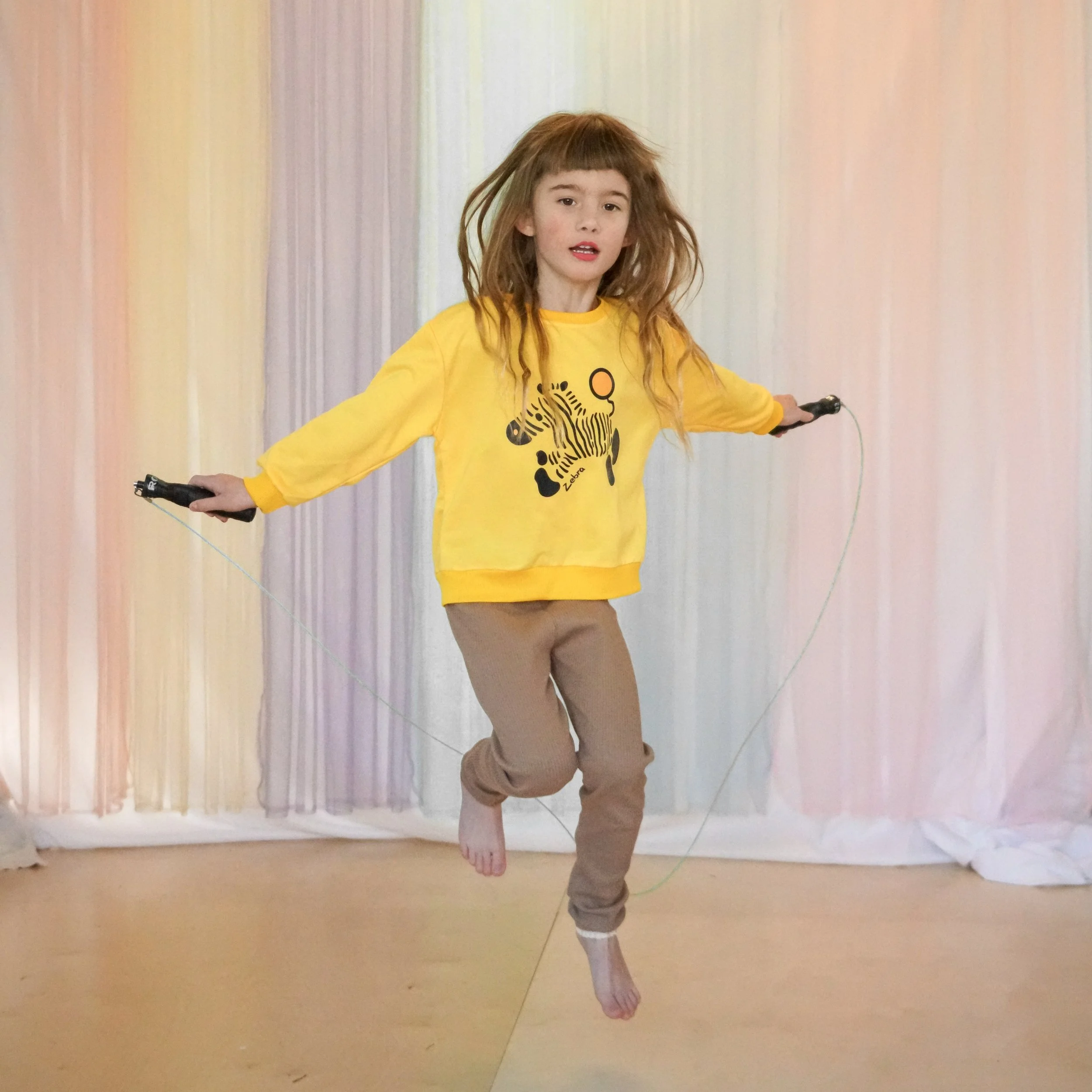 Zippy Zebra Sweatshirt 1.jpeg