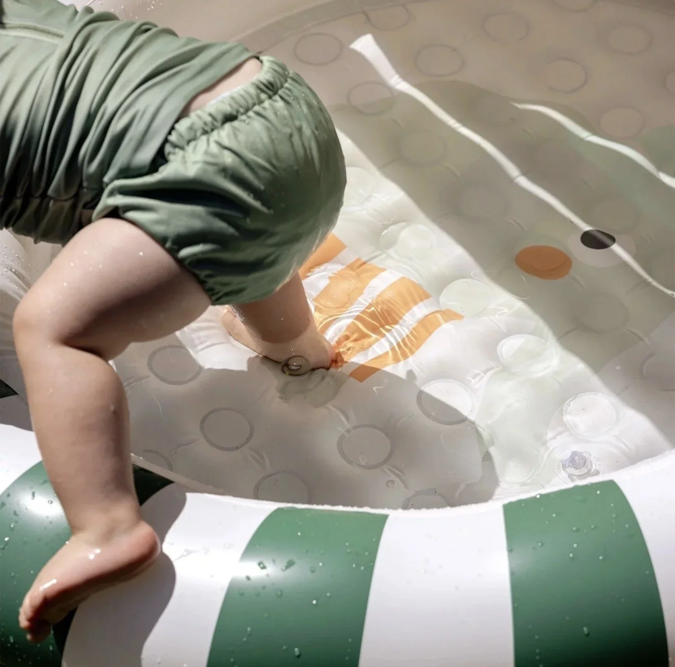 Eli the Elephant Swimming Pool 2.jpeg
