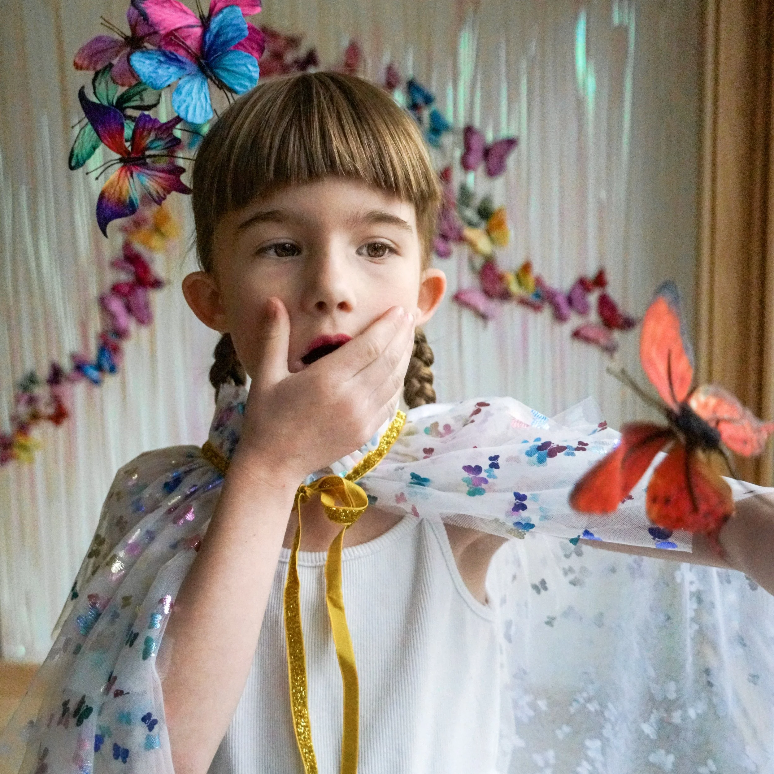 Butterfly Cape 4.jpeg