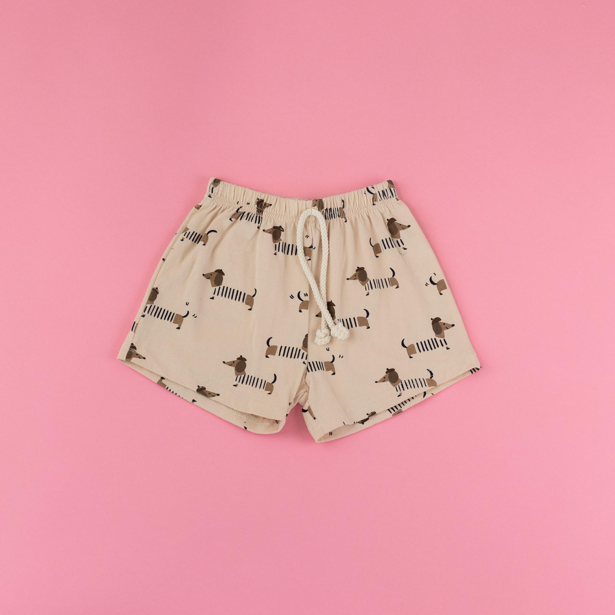 Dachshund Puupy Short.png