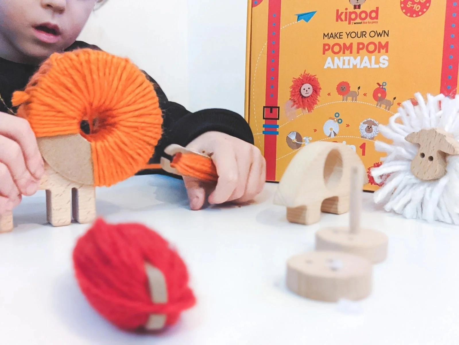 Pom Pom Animals Craft Kit 3.jpeg