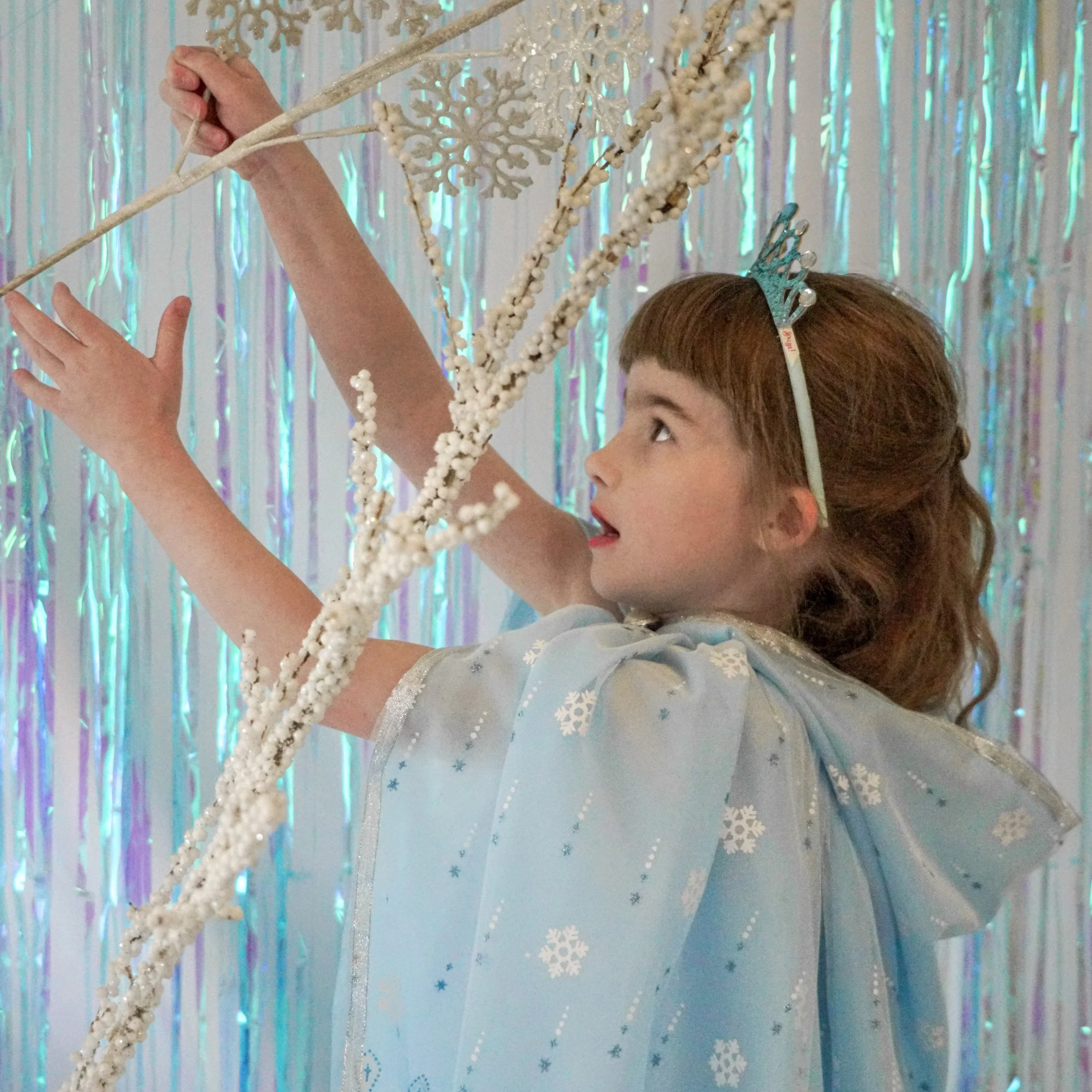 Ice Queen Cape 3.jpeg