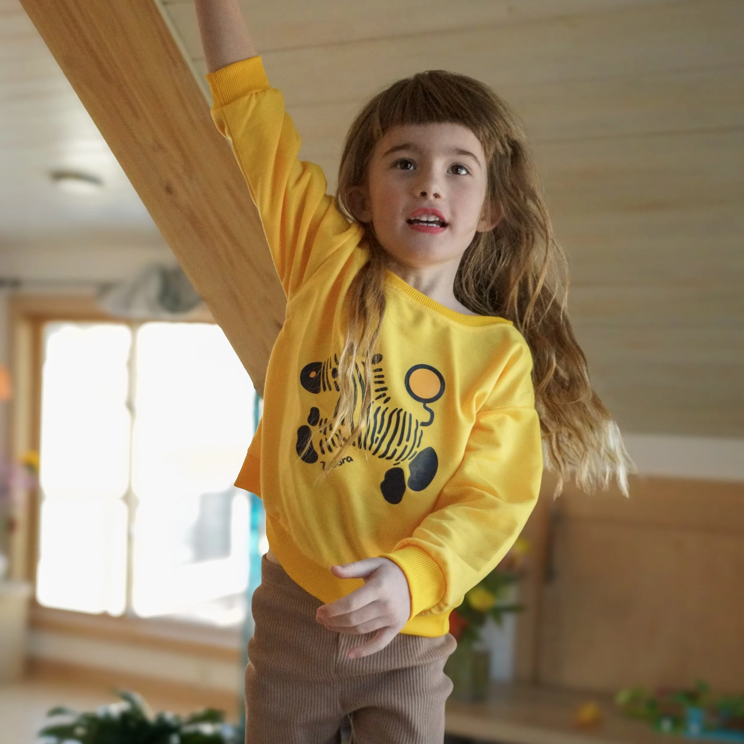 Zippy Zebra Sweatshirt 5.jpeg