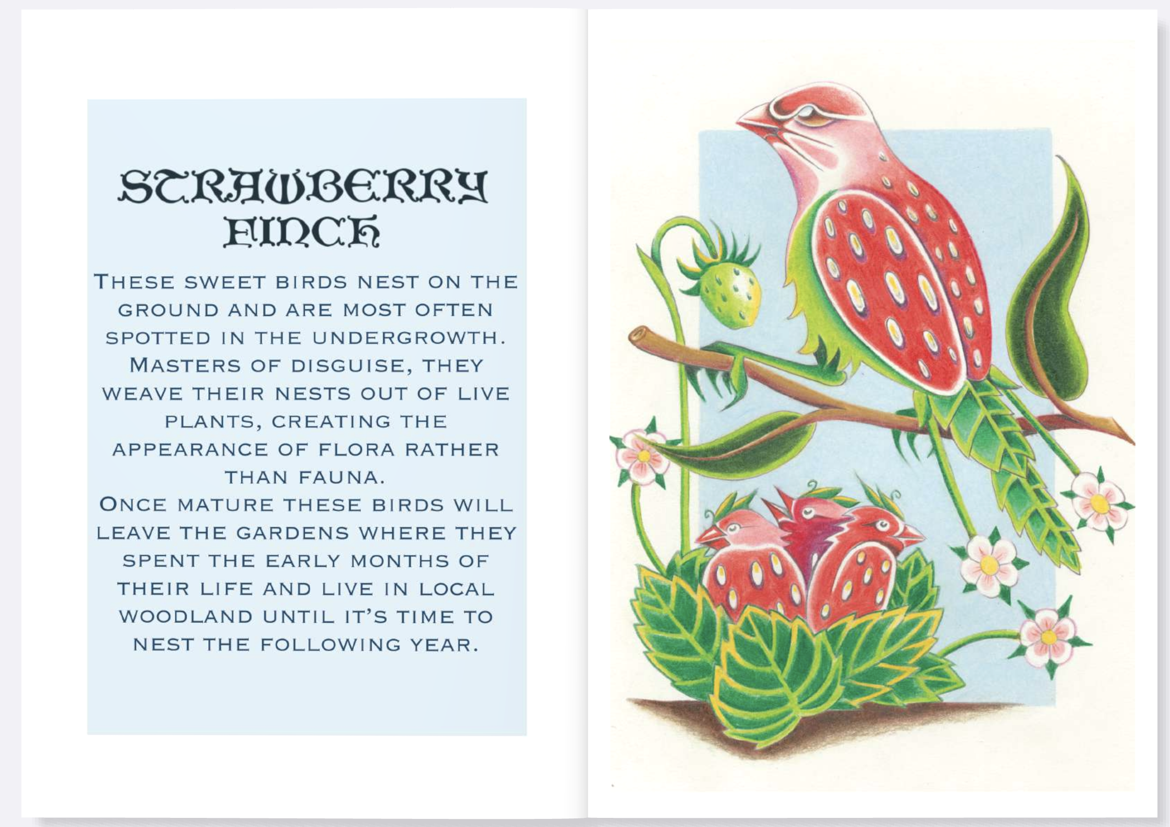 Screenshot 2026-02-27 at 10.18.08.png