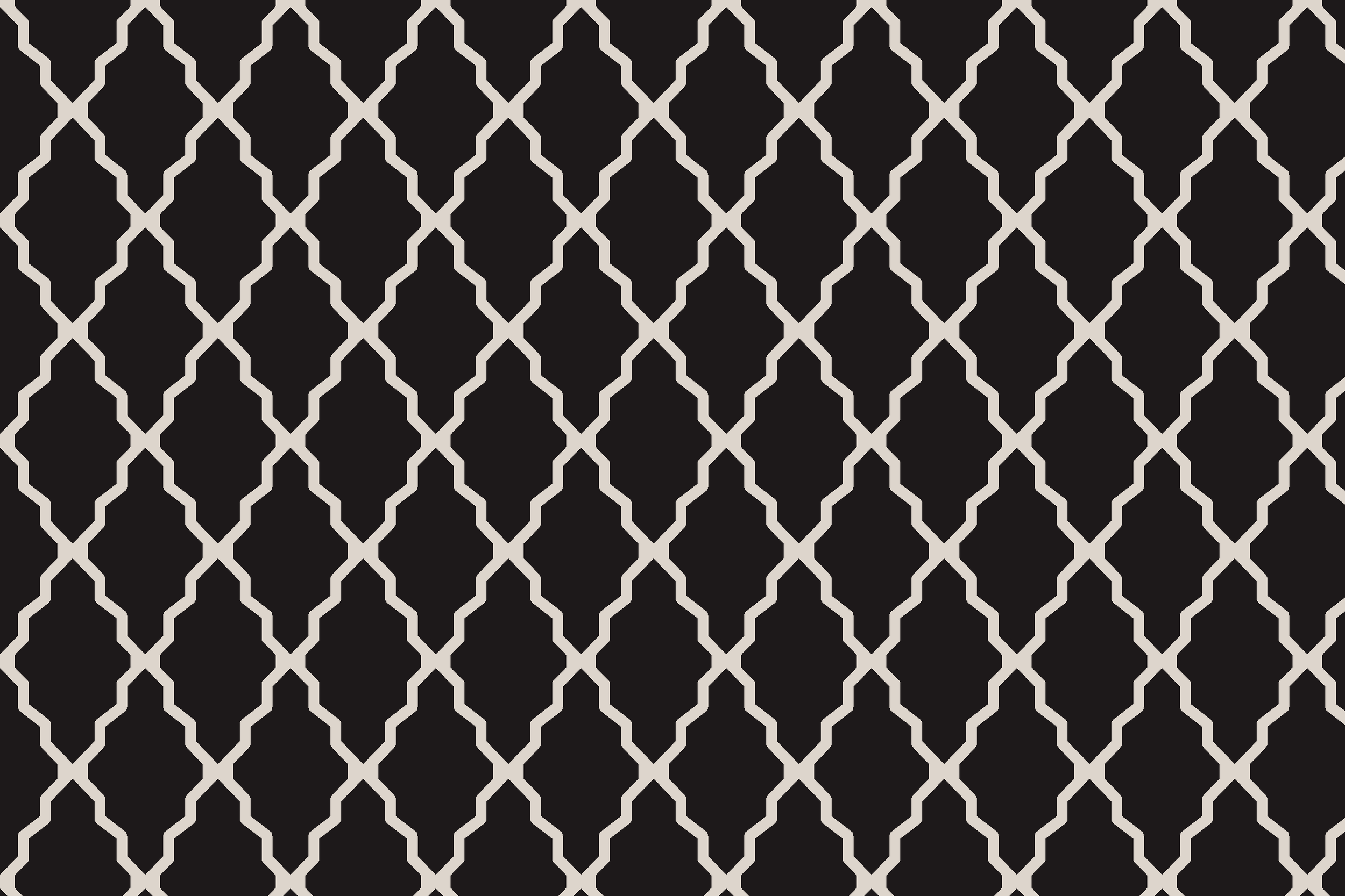 A black and white geometric lattice pattern with repeating white shapes on a black background.