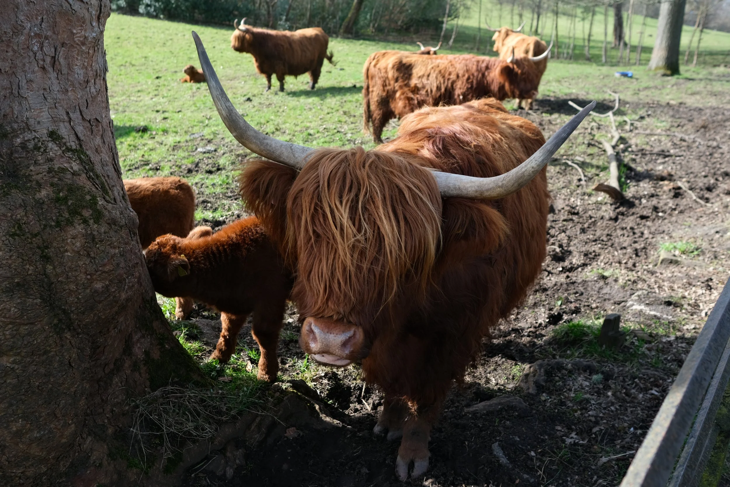 Where to Stay in Glasgow, Scotland
