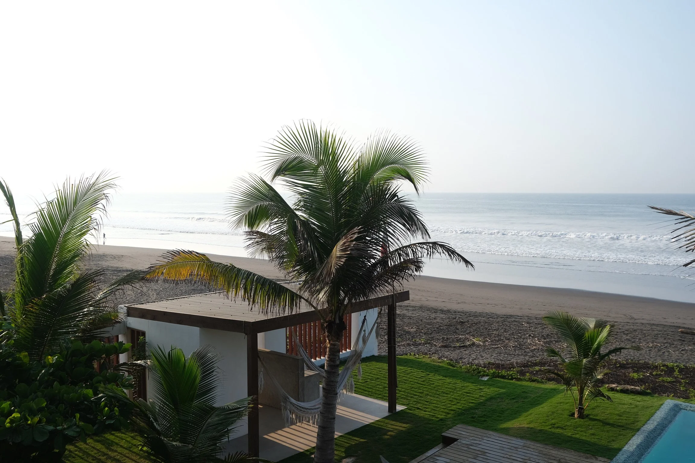 Beachside view with palm trees, a small lawn area, a hammock, and a swimming pool overlooking the ocean.