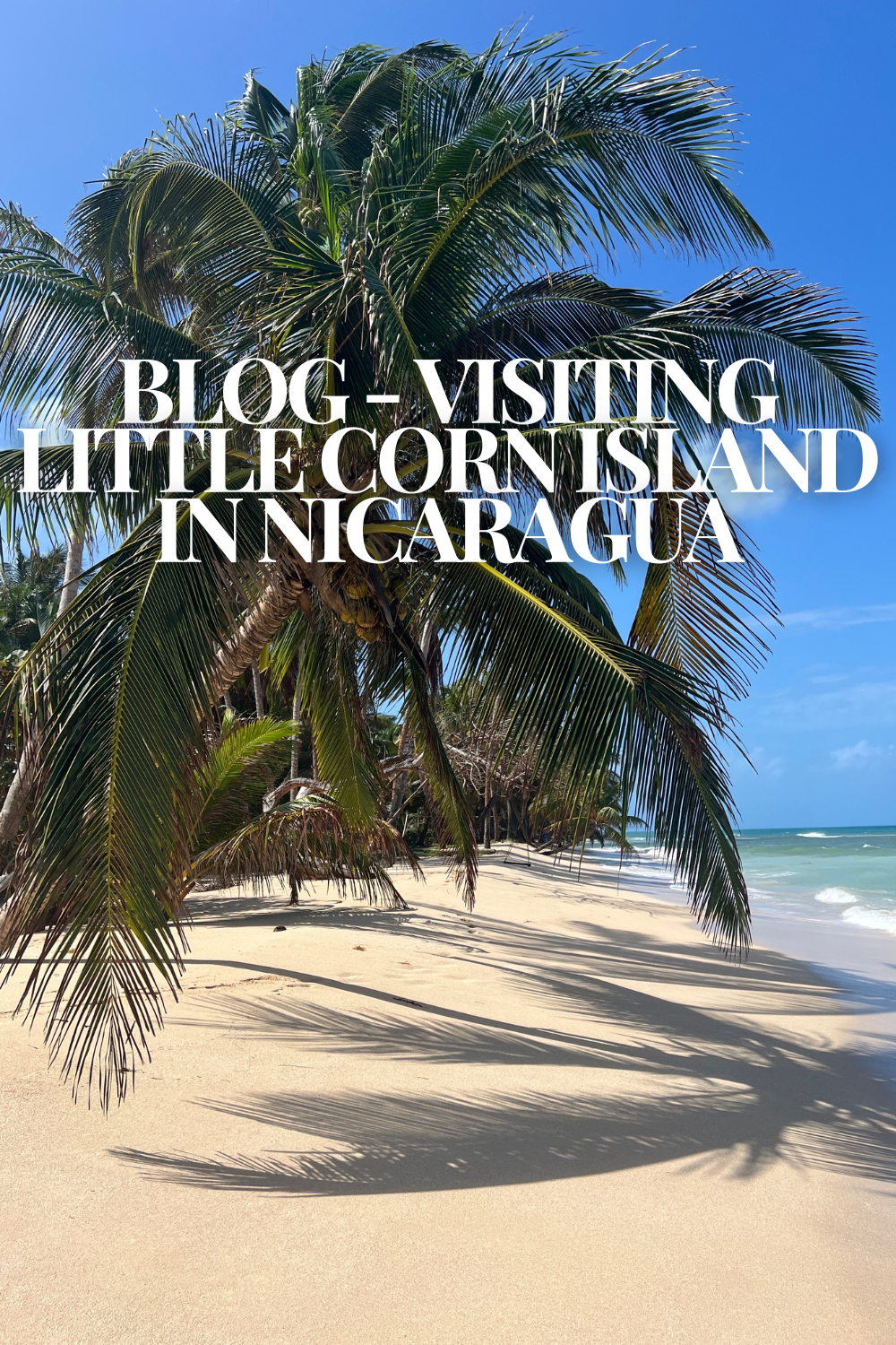 visiting little corn.png