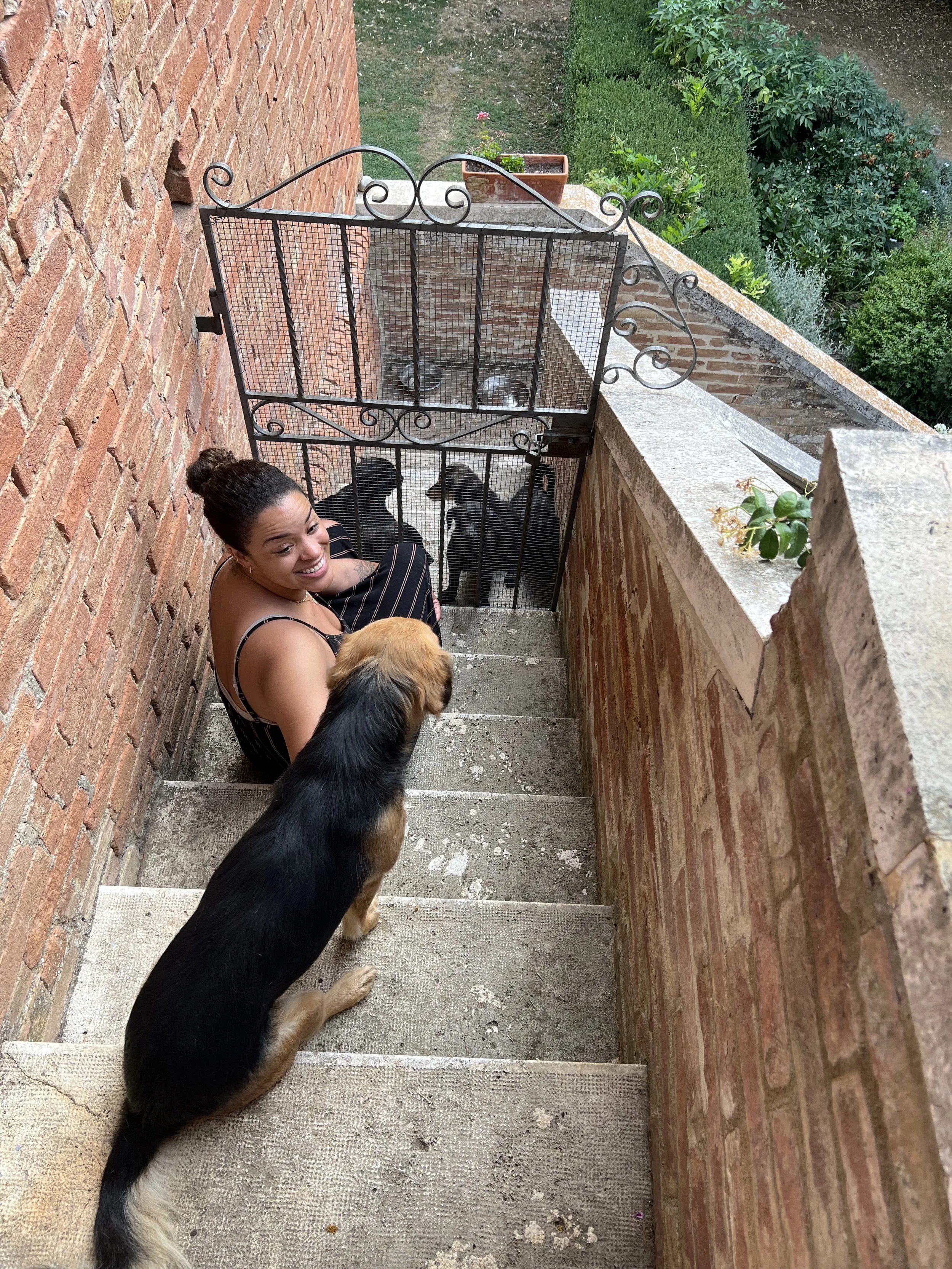 A woman sitting on outdoor stairs with several dogs, some of which are in a gated area at the top of the stairs, with a brick wall on one side and a garden in the background.