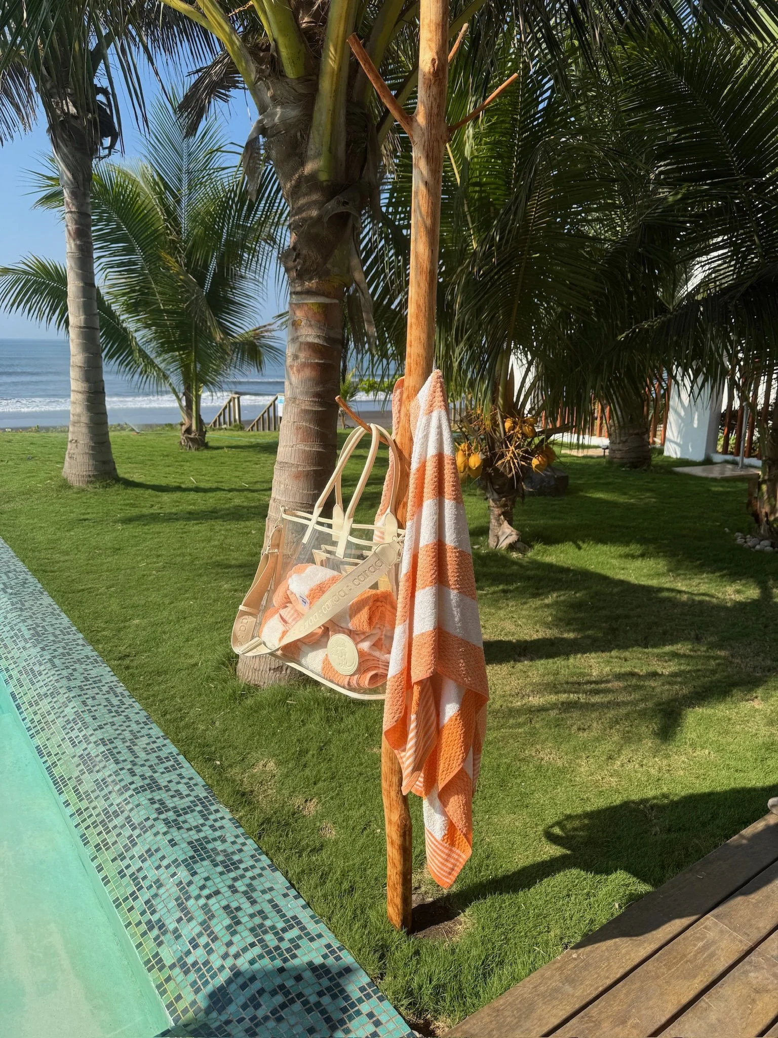 Beach scene with palm trees, grassy area, and ocean in background. A wooden post is on the grass holding an orange and white striped towel and a clear tote bag with towels inside.