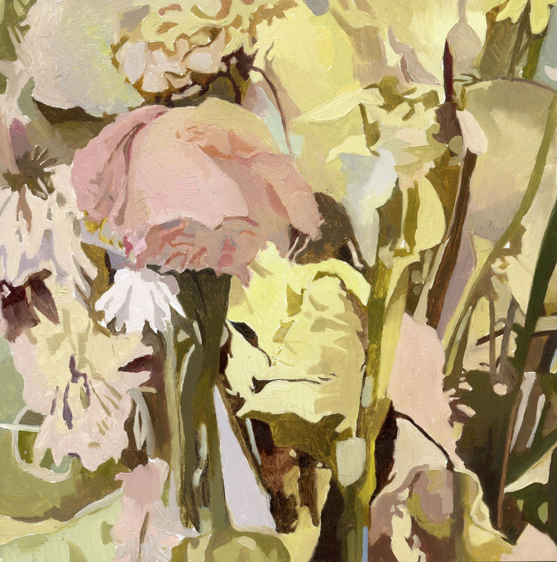 Winter Rose, oil on panel, 6" x 6", 2025