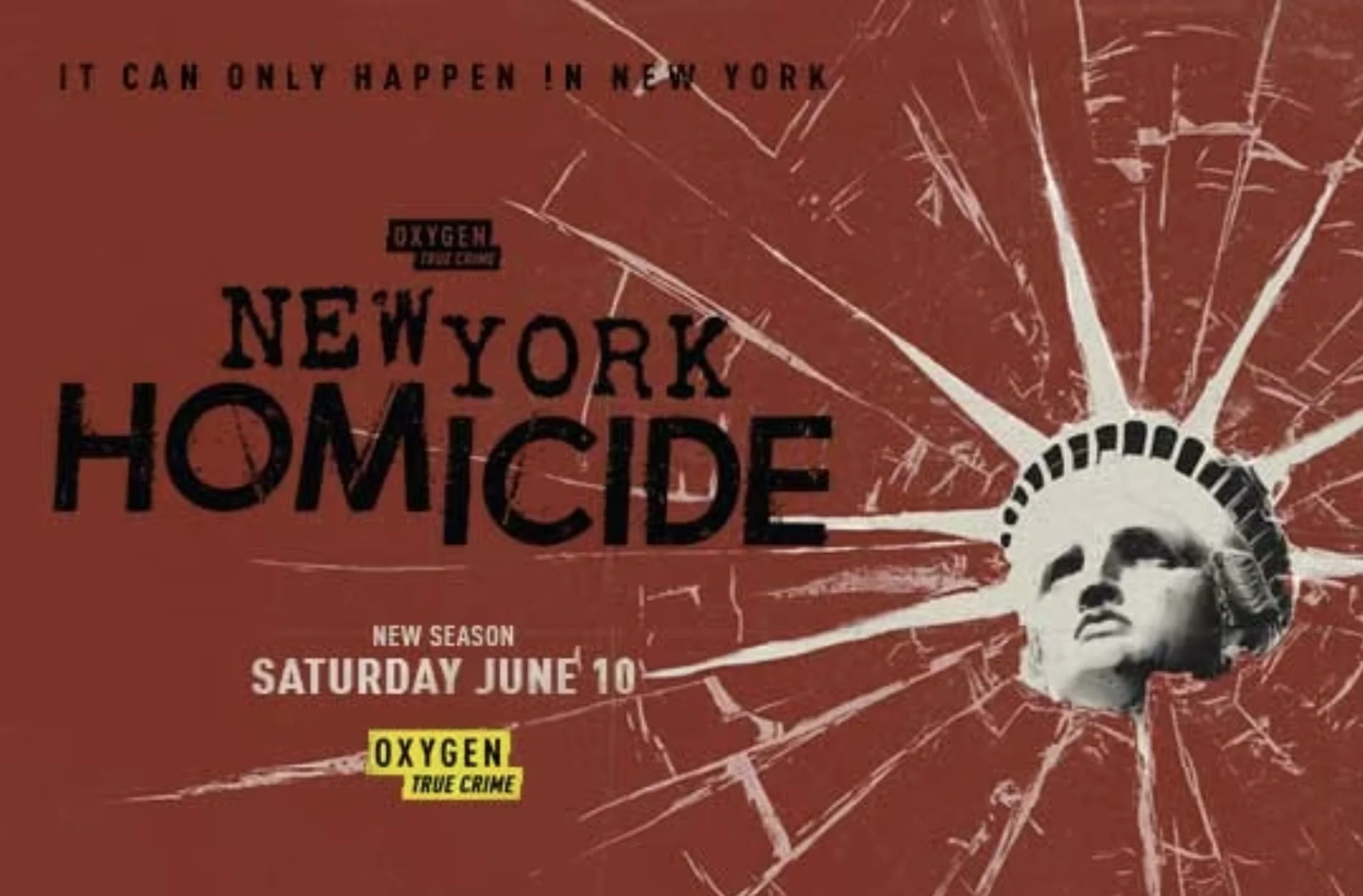 NY Homicide 2.jpg
