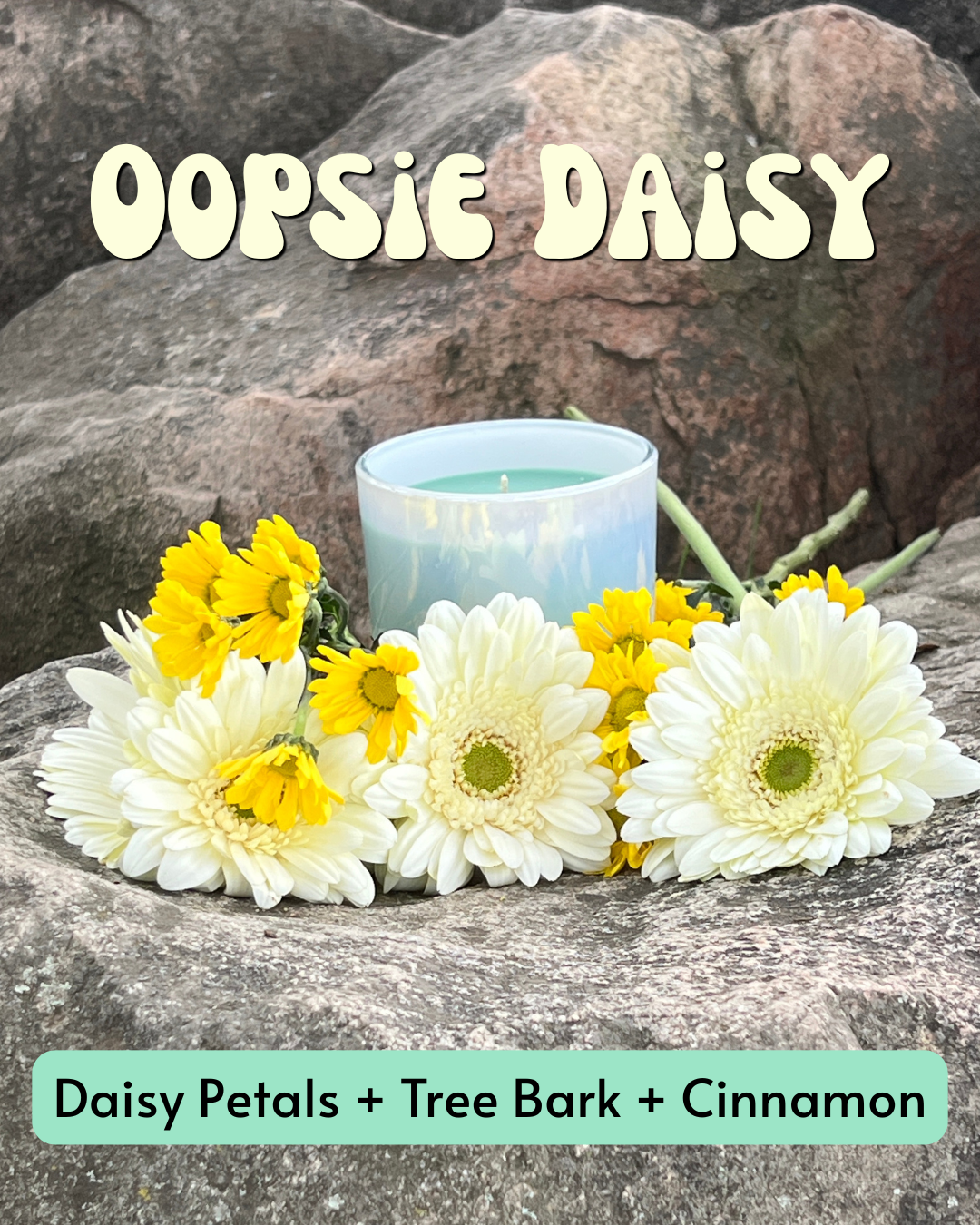 oopsie daisy text description pic.png