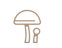 f55042_674747a3cbef418eace9c88e50fec9bf~mv2 (1).png