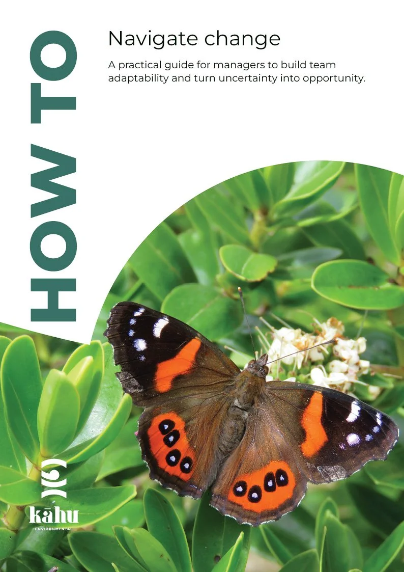 An image of a Red Admiral butterfly for the cover of our how-to guide on change.