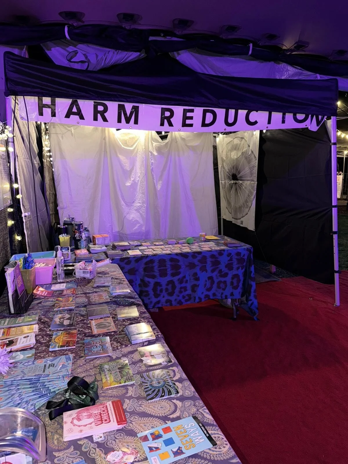@songandsurfmusicfestival you super beautiful special humans, we love you! Night 2 and we have already had the privilege of meeting so many of you. We are here all weekend alongside our partners at @drugcheckingvi at the evening venue 8-late beside t