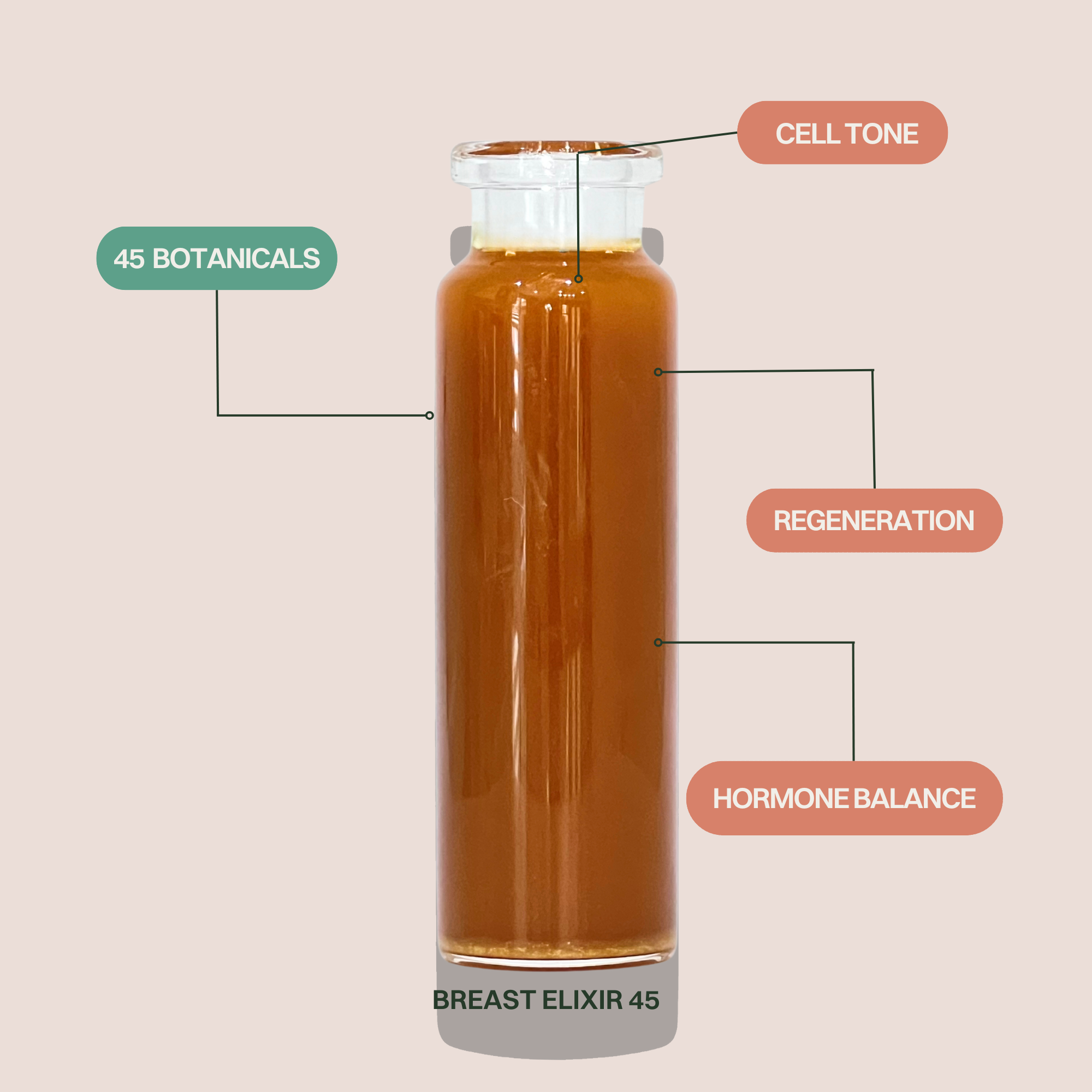 GLASS single + Bundle-7.png
